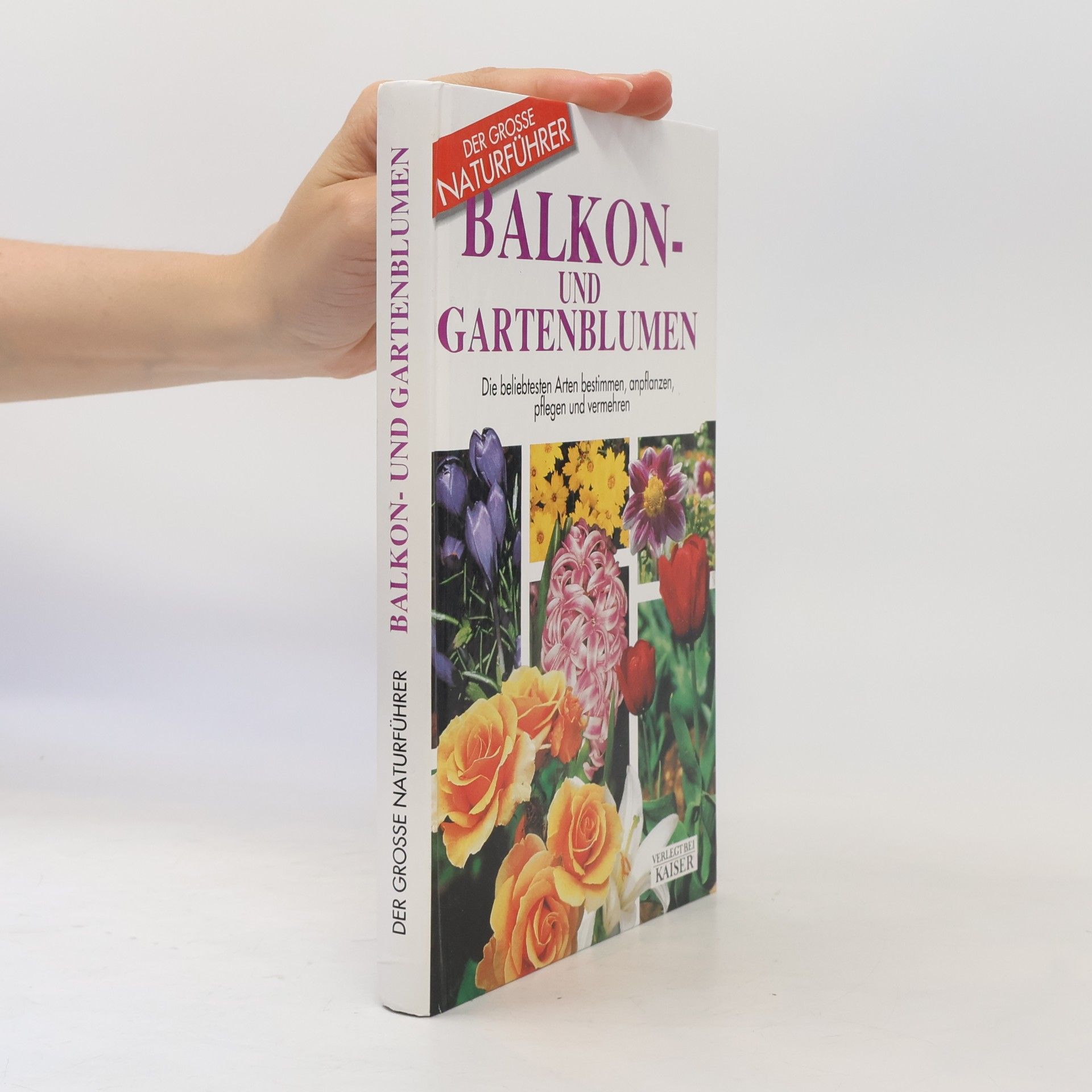 Maria Teresa Della Beffa Balkon- und Gartenblumen