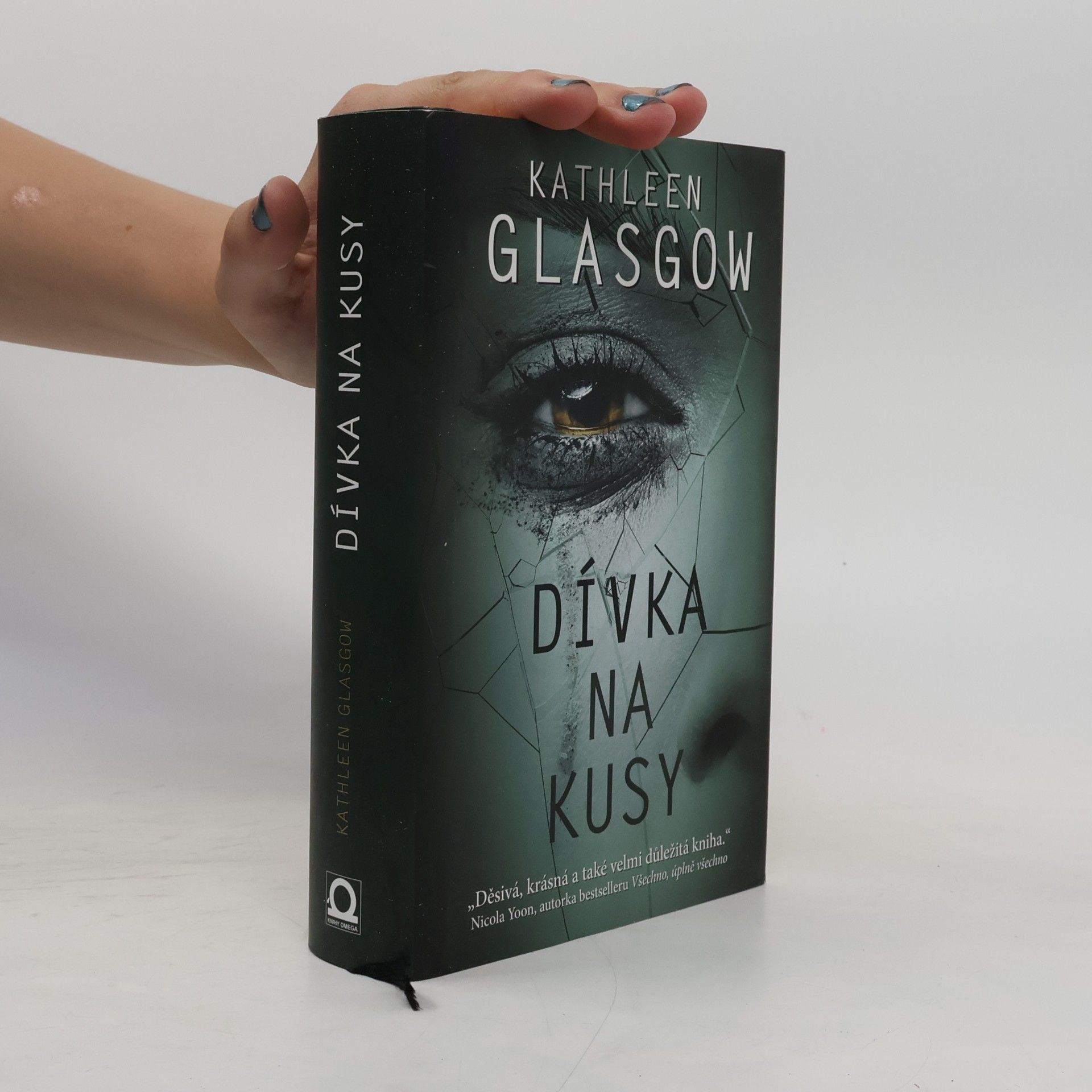 Kathleen Glasgow Dívka na kusy