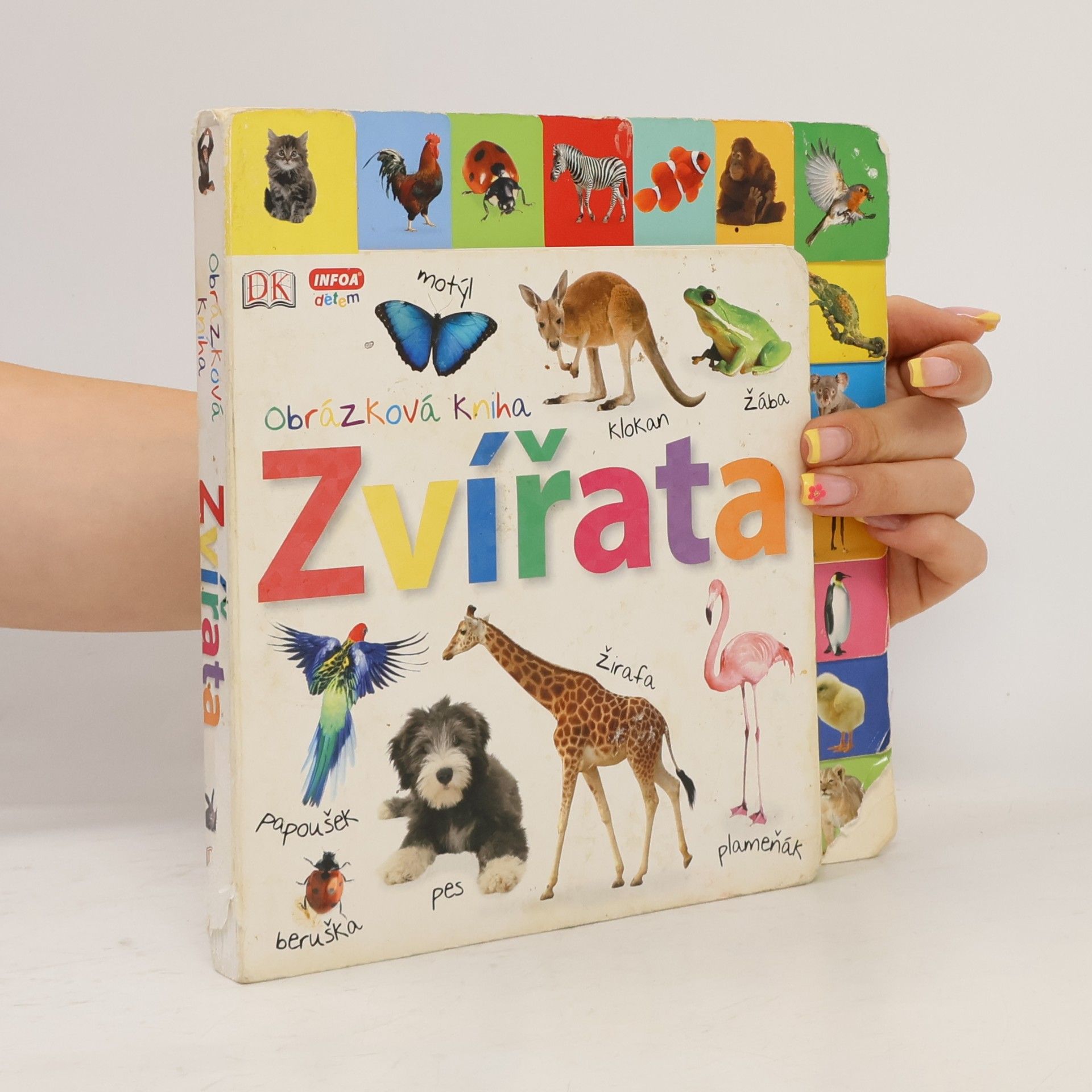 Kolektiv autorů Obrázková kniha. Zvířata