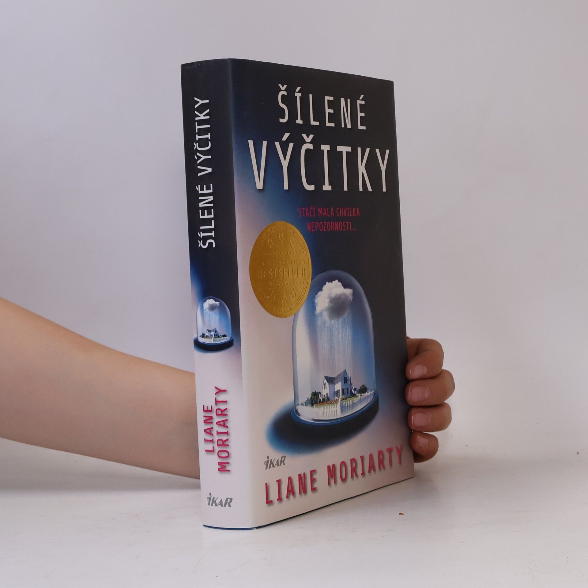 Liane Moriarty Šílené výčitky