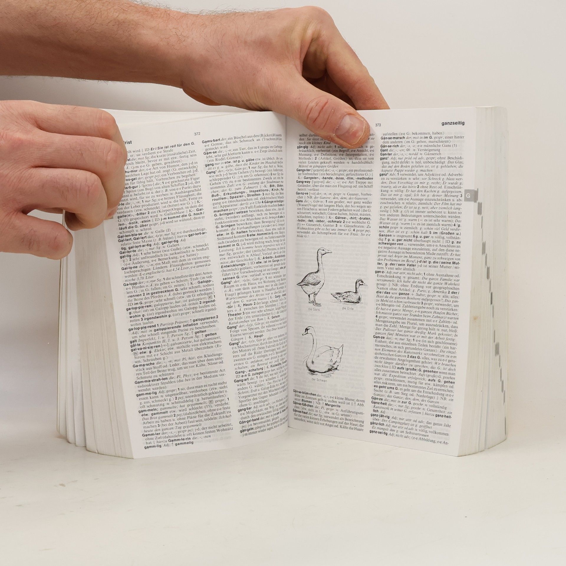 Autorenkollektiv Langenscheidts Großwörterbuch Deutsch als Fremdsprache