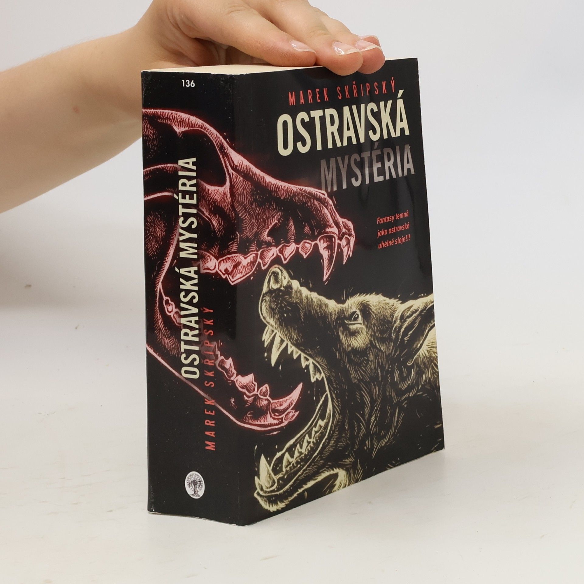 Marek Skřipský Ostravská mystéria