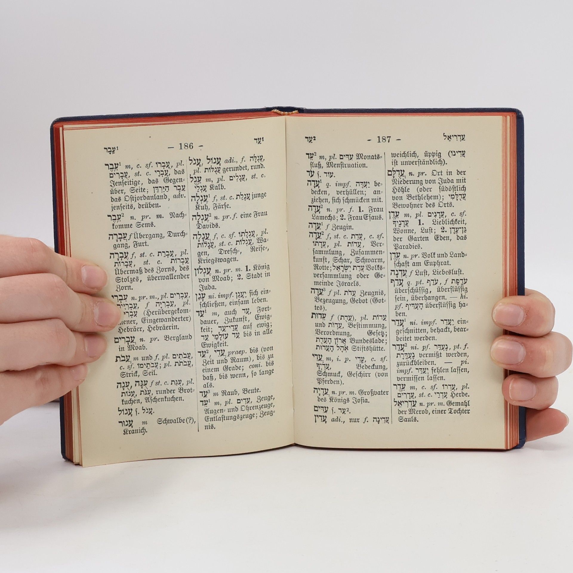 Paul Feyerabend Taschenwörterbuch der hebräischen und deutschen Sprache