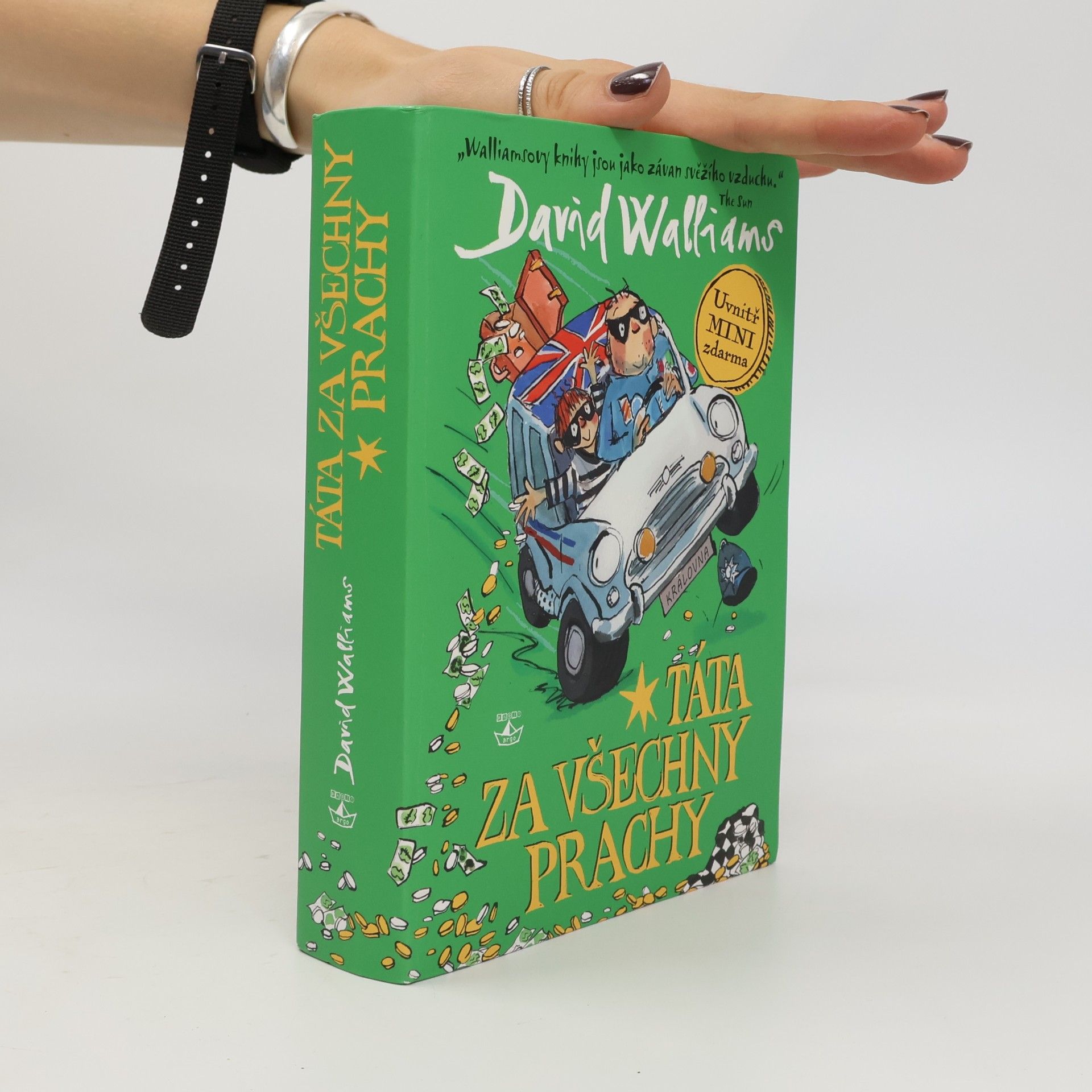 David Walliams Táta za všechny prachy