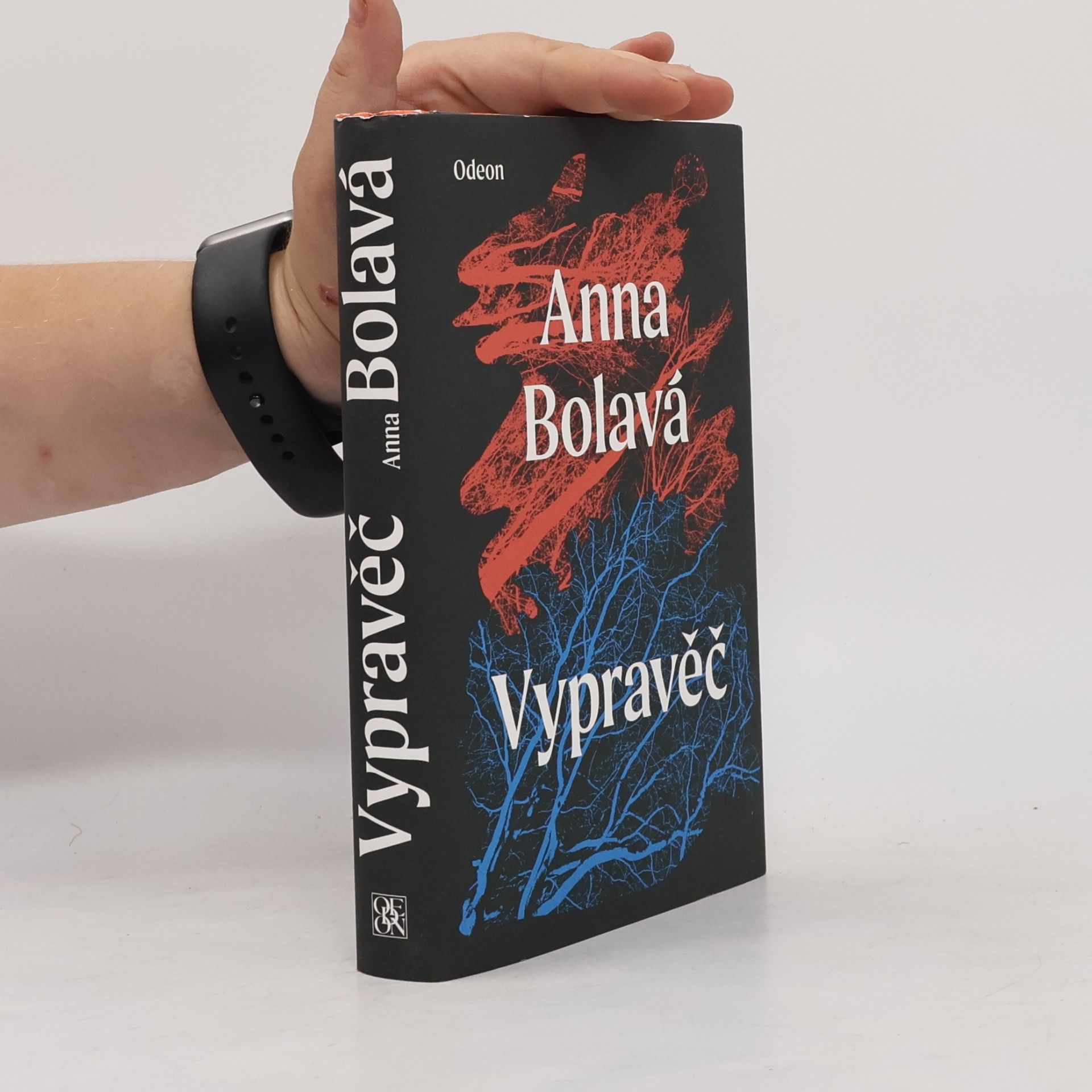 Anna Bolavá Vypravěč