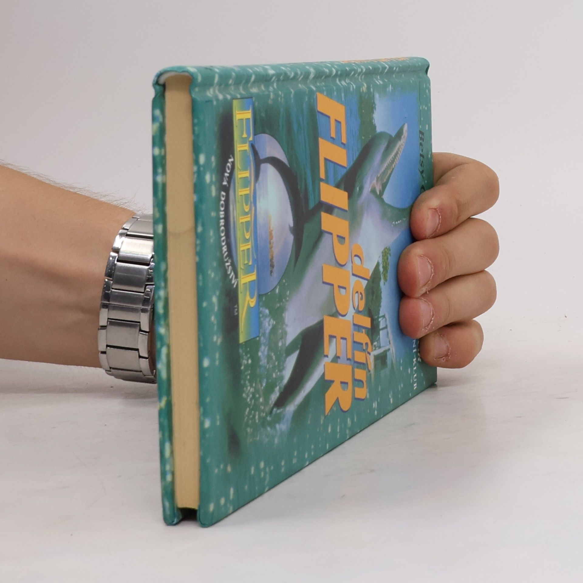 Betsy Ginsburgh Delfín Flipper
