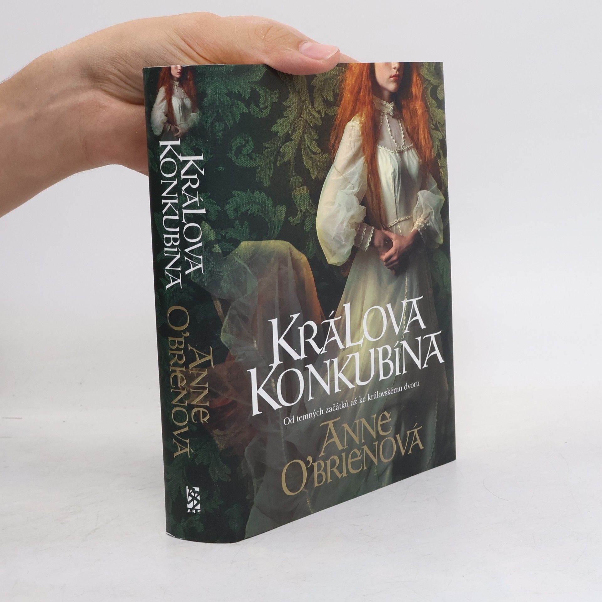 Anne O. Brien Králova konkubína