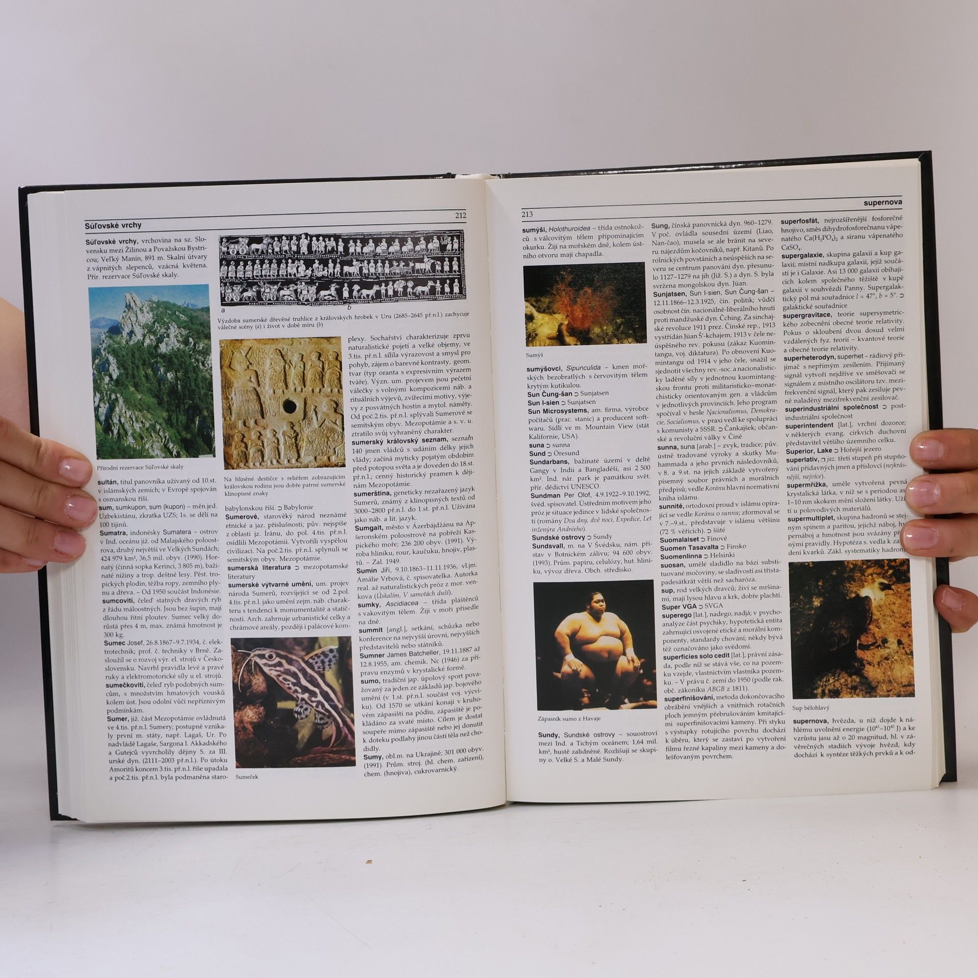 Collectif d'auteurs Ilustrovaná encyklopedie. Díl 3, Q-Ž