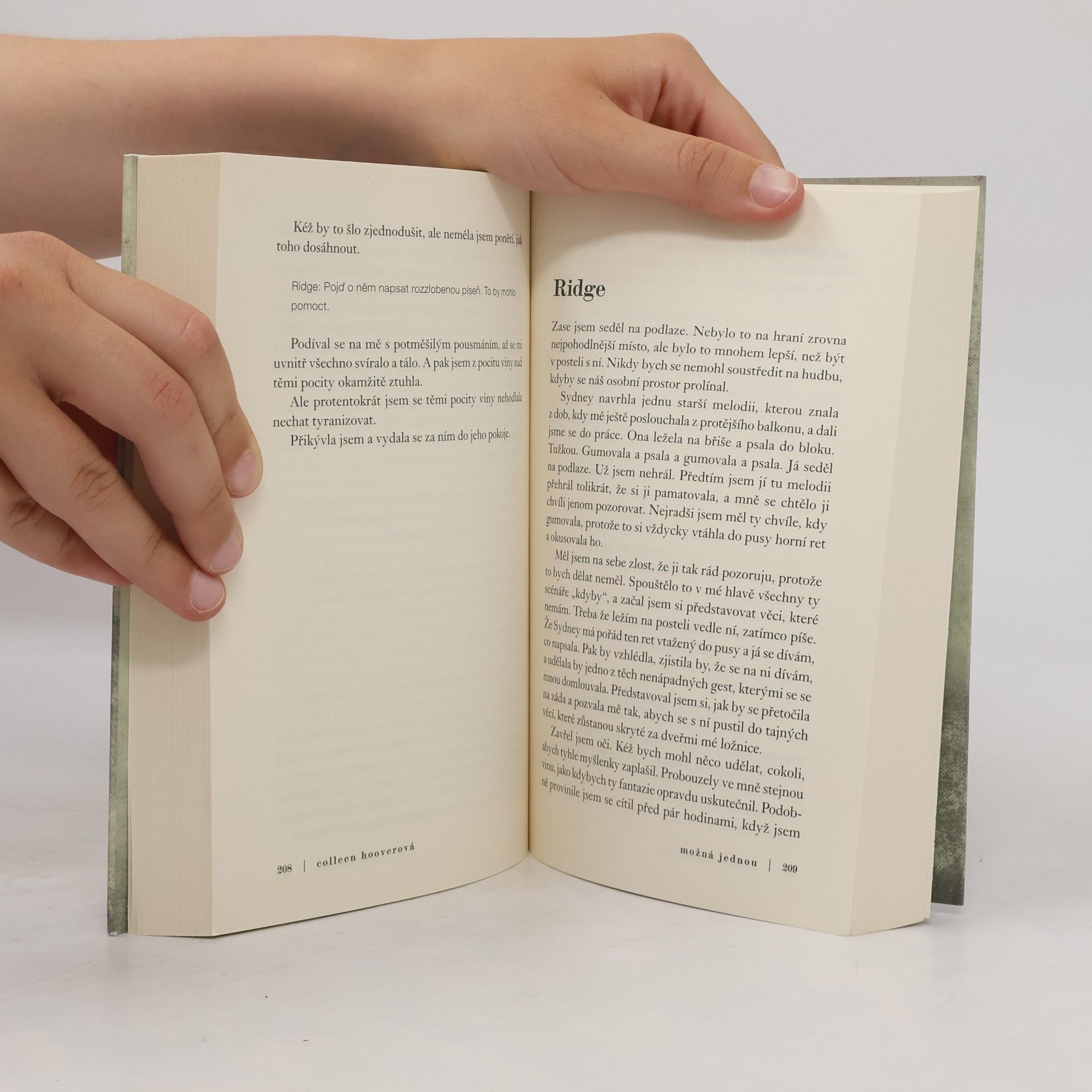 Colleen Hoover Možná jednou