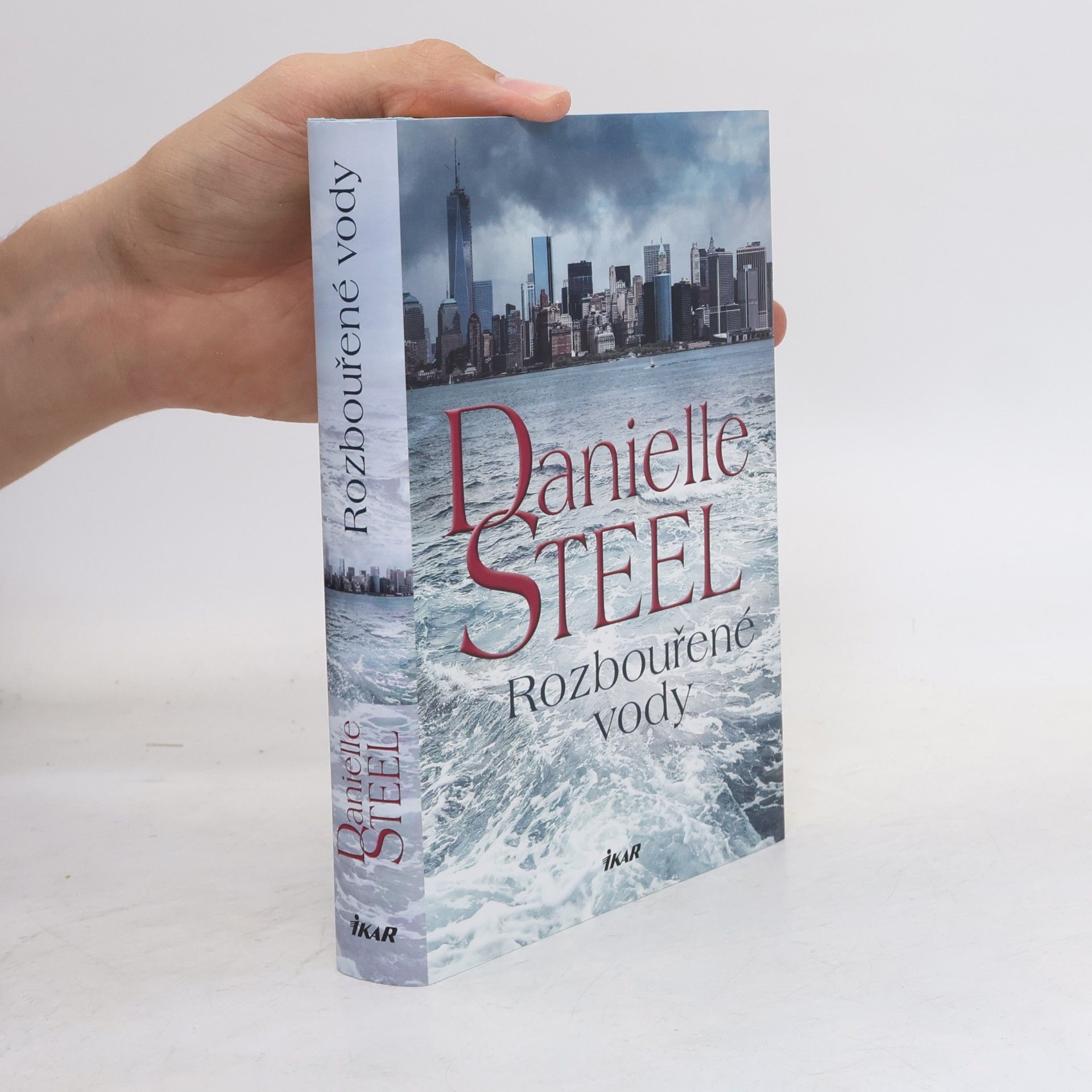 Danielle Steel Rozbouřené vody