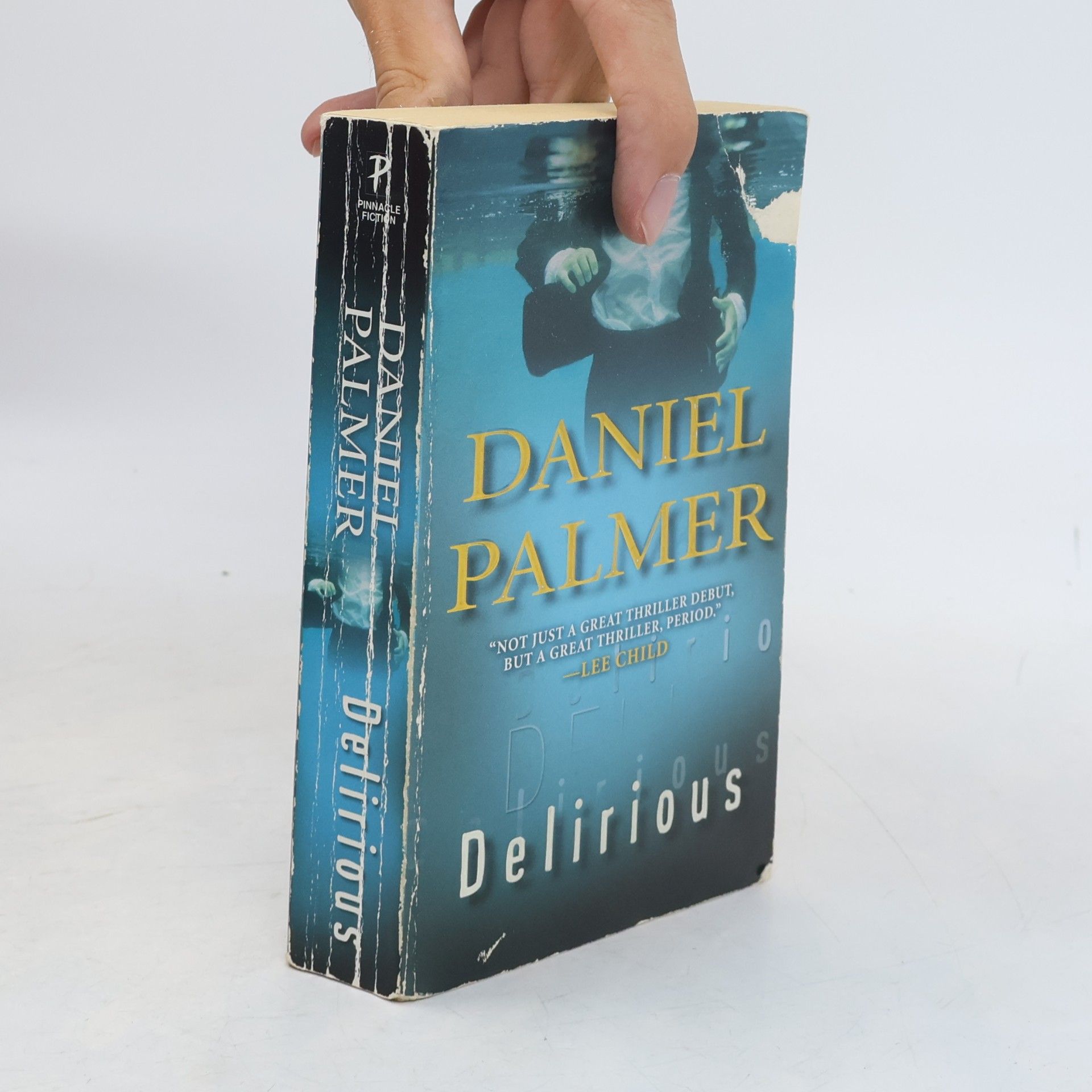 Daniel Palmer Delirious