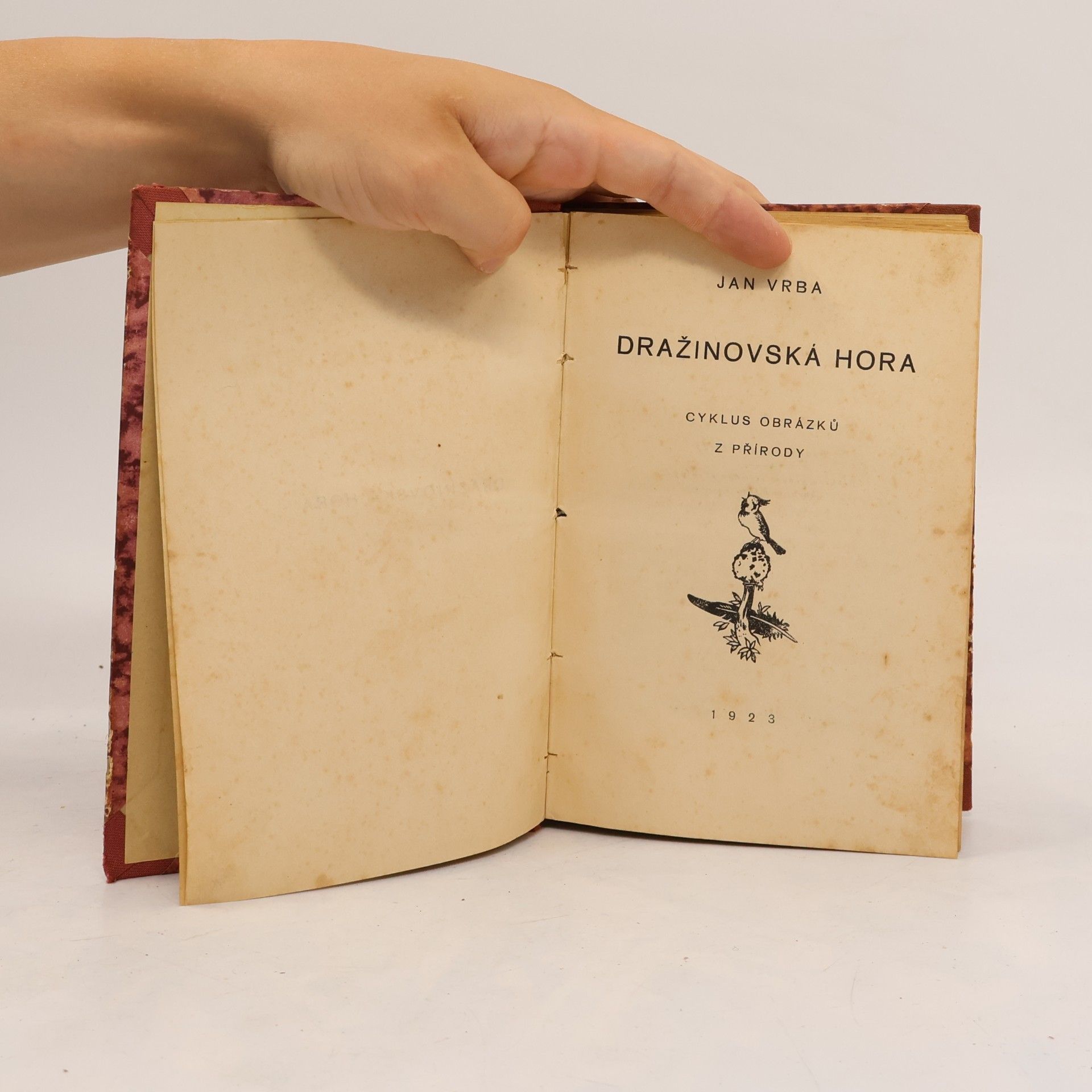 Jan Vrba Dražinovská hora