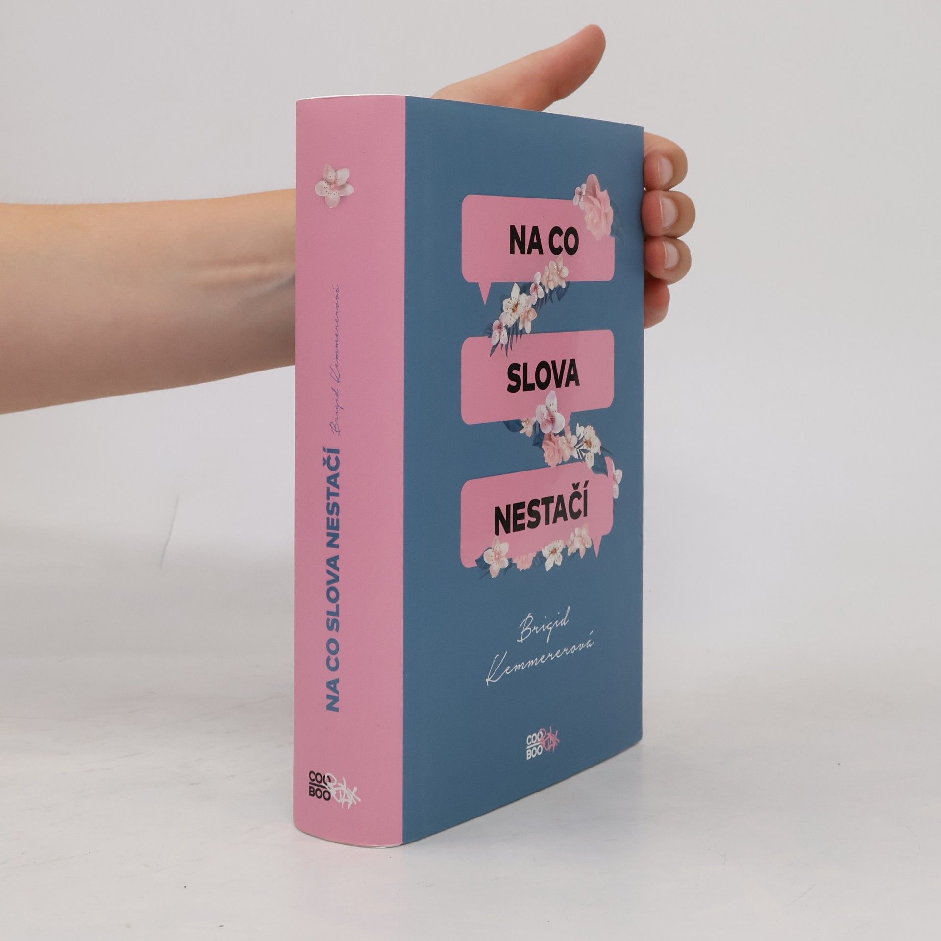 Brigid Kemmerer Na co slova nestačí