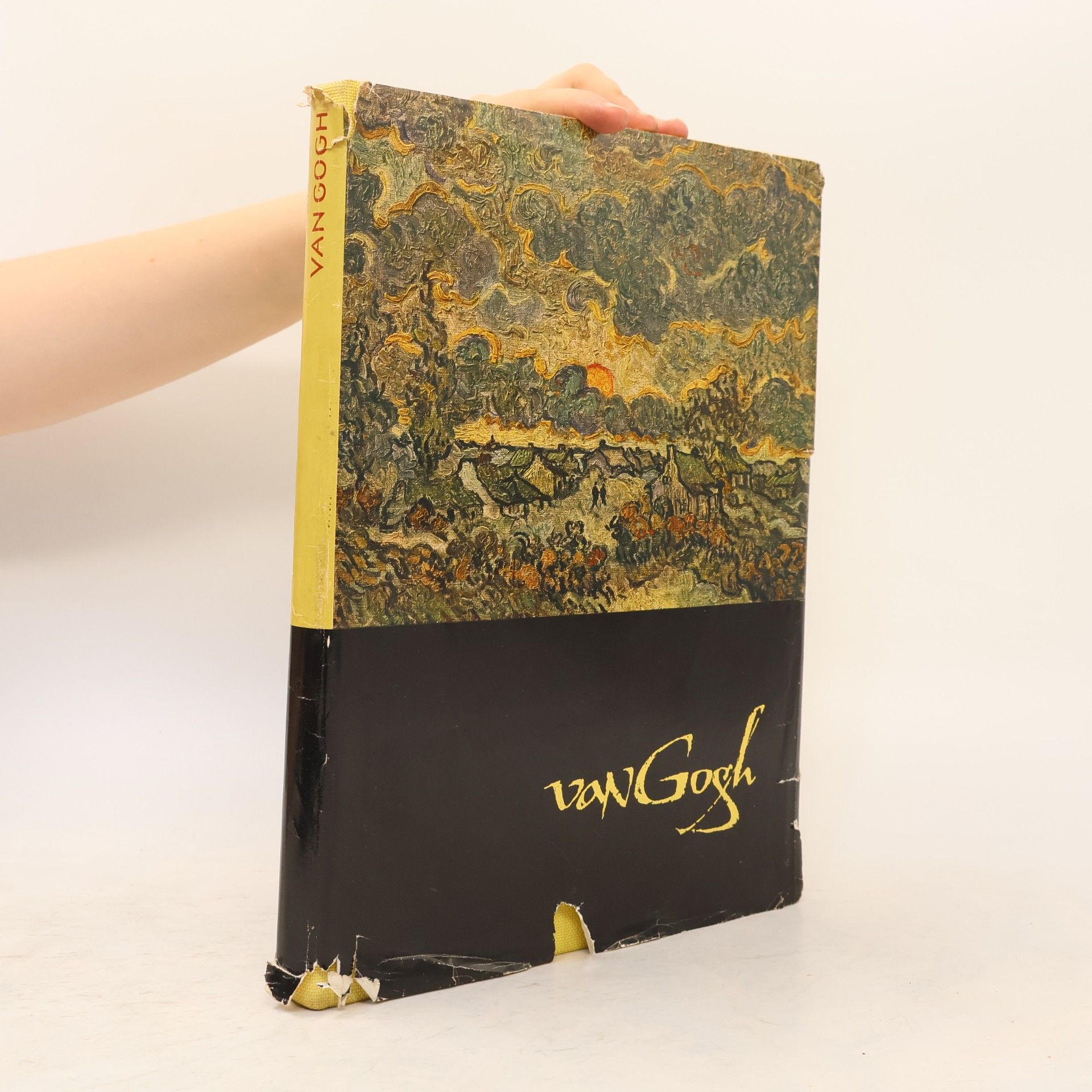 Vincent van Gogh Van Gogh