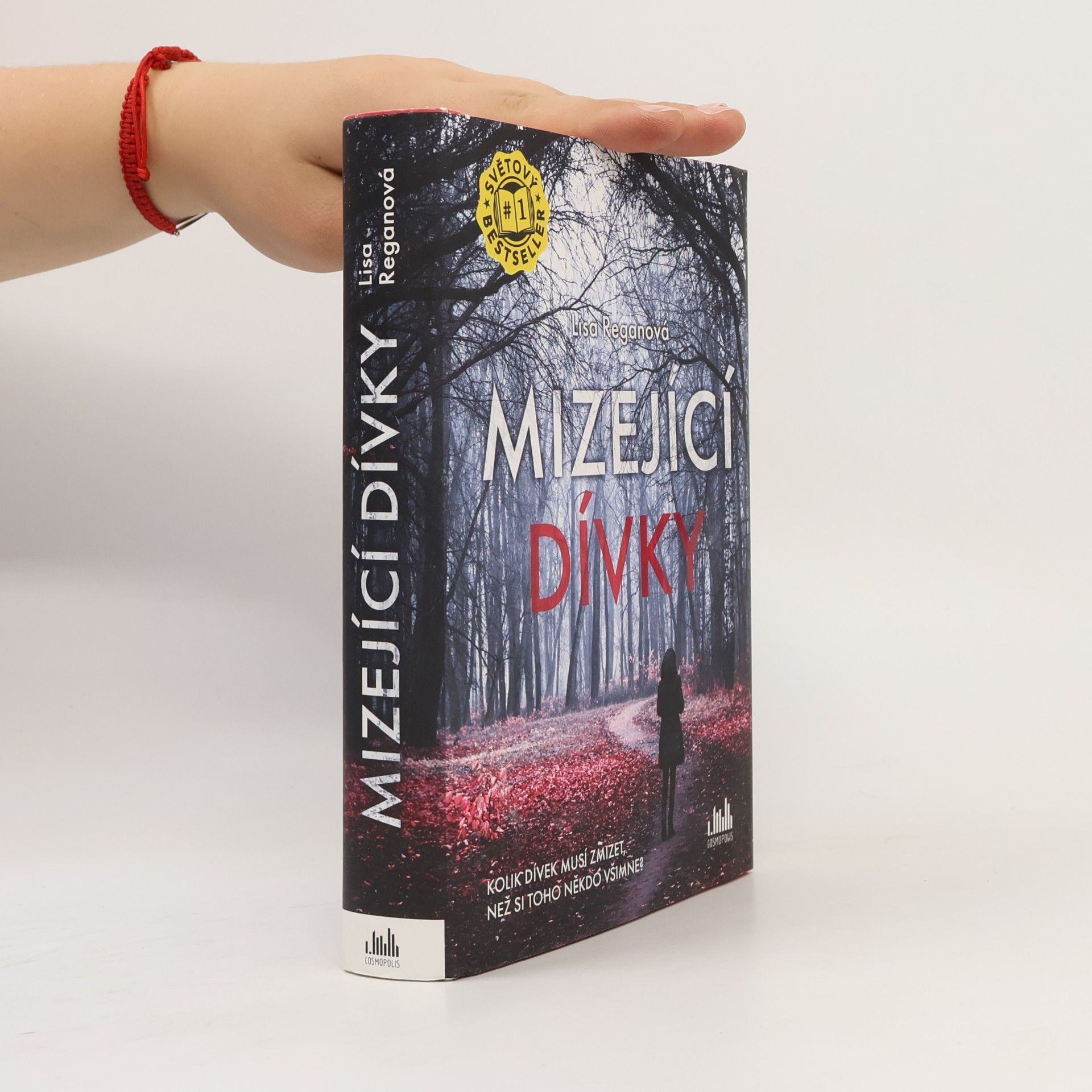Lisa Regan Mizející dívky