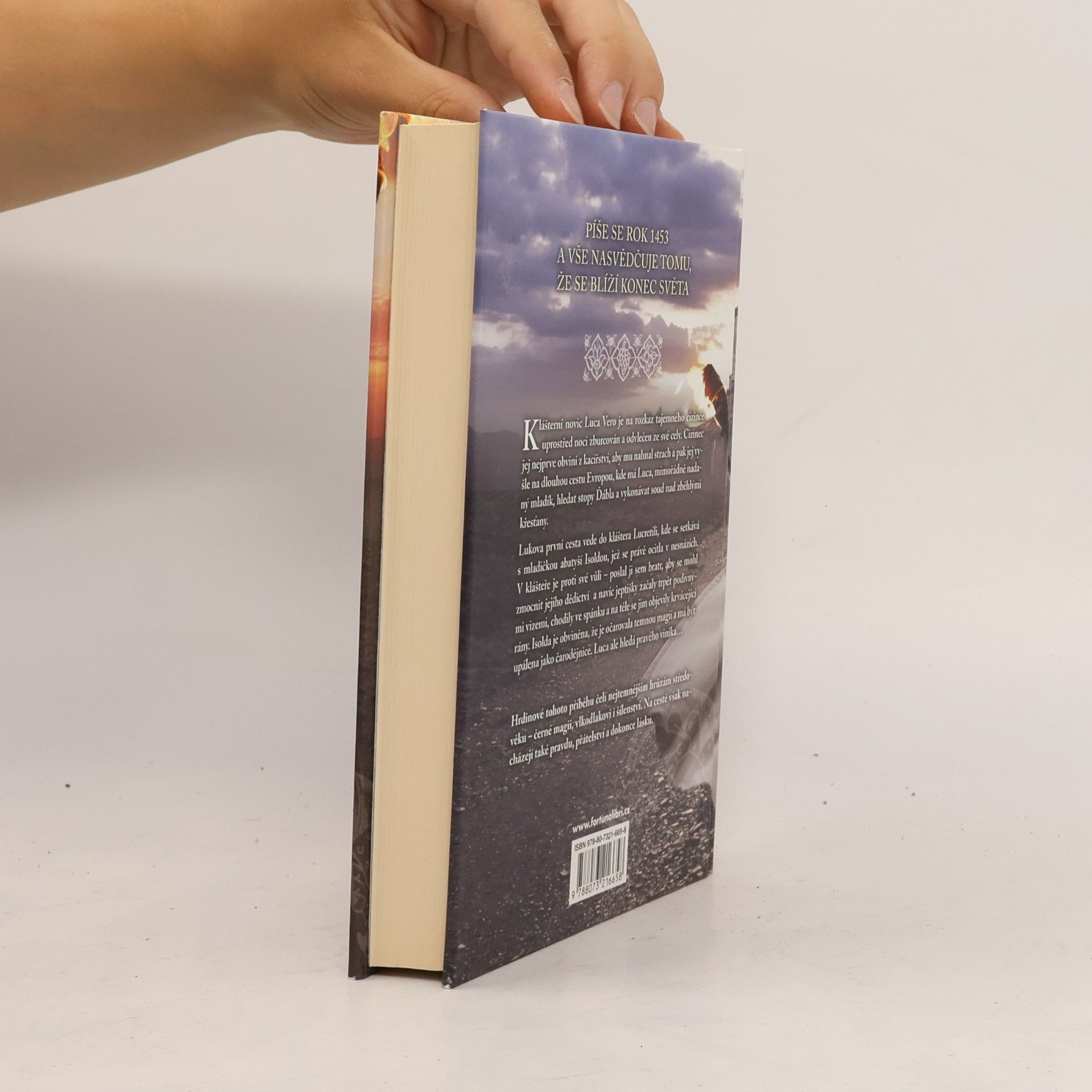 Philippa Gregory Řád temnot. Kacíř a čarodějka