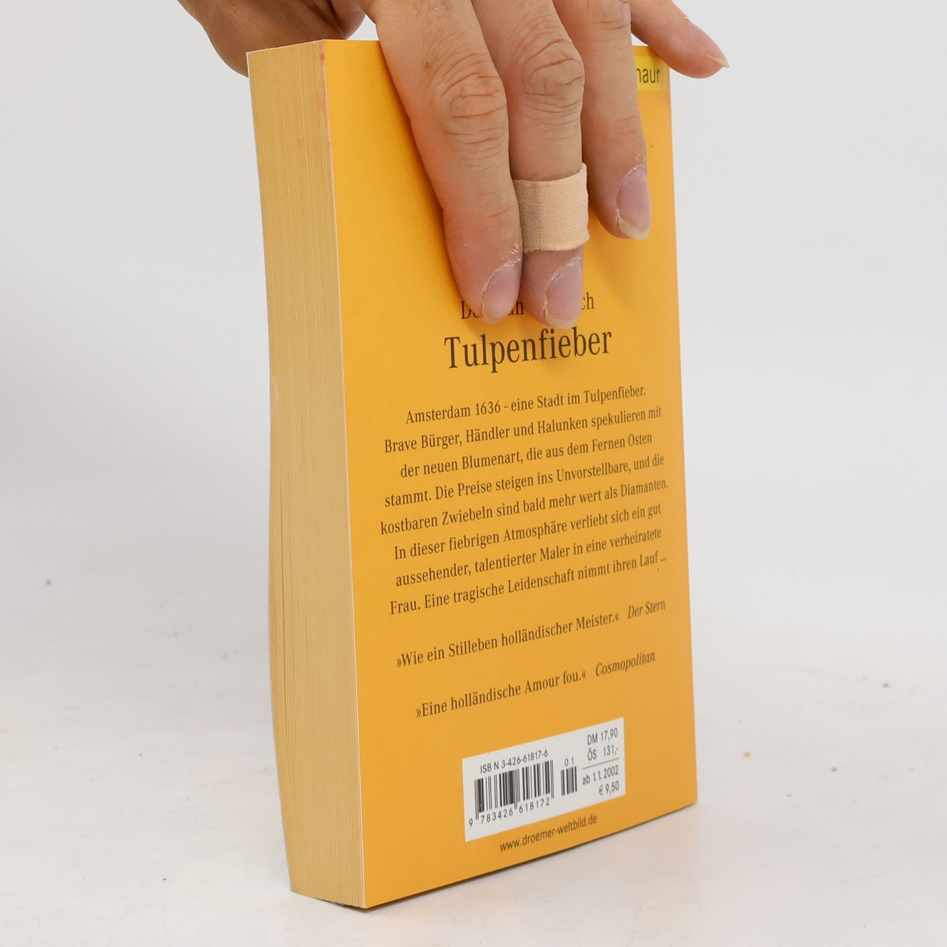 Deborah Moggach Tulpenfieber