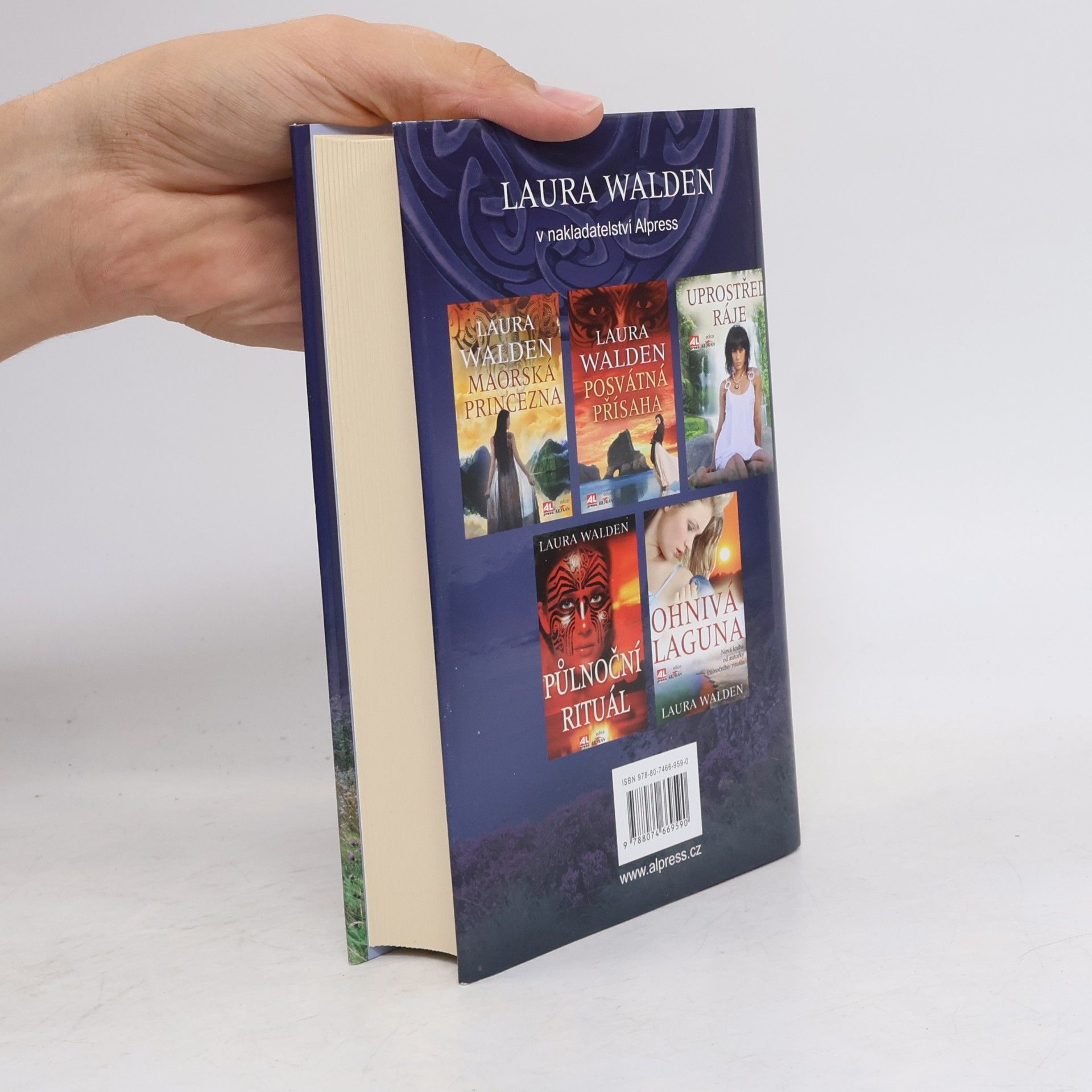 Laura Walden Skrýš na konci útesu