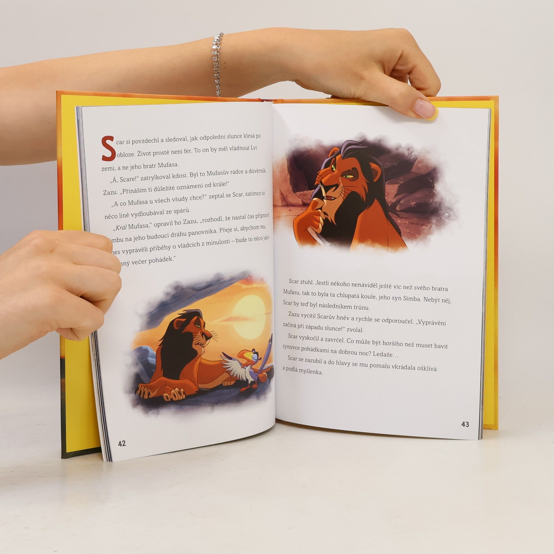 Autorenkollektiv Lví král - Čtyři pohádky