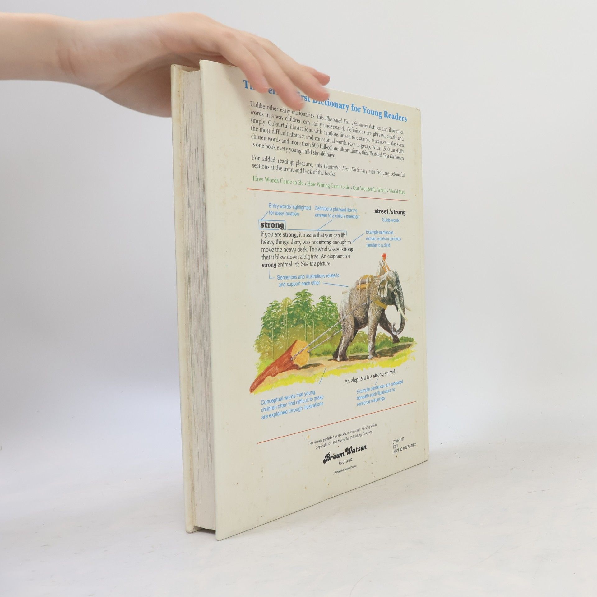 Autorenkollektiv Illustrated First Dictionary