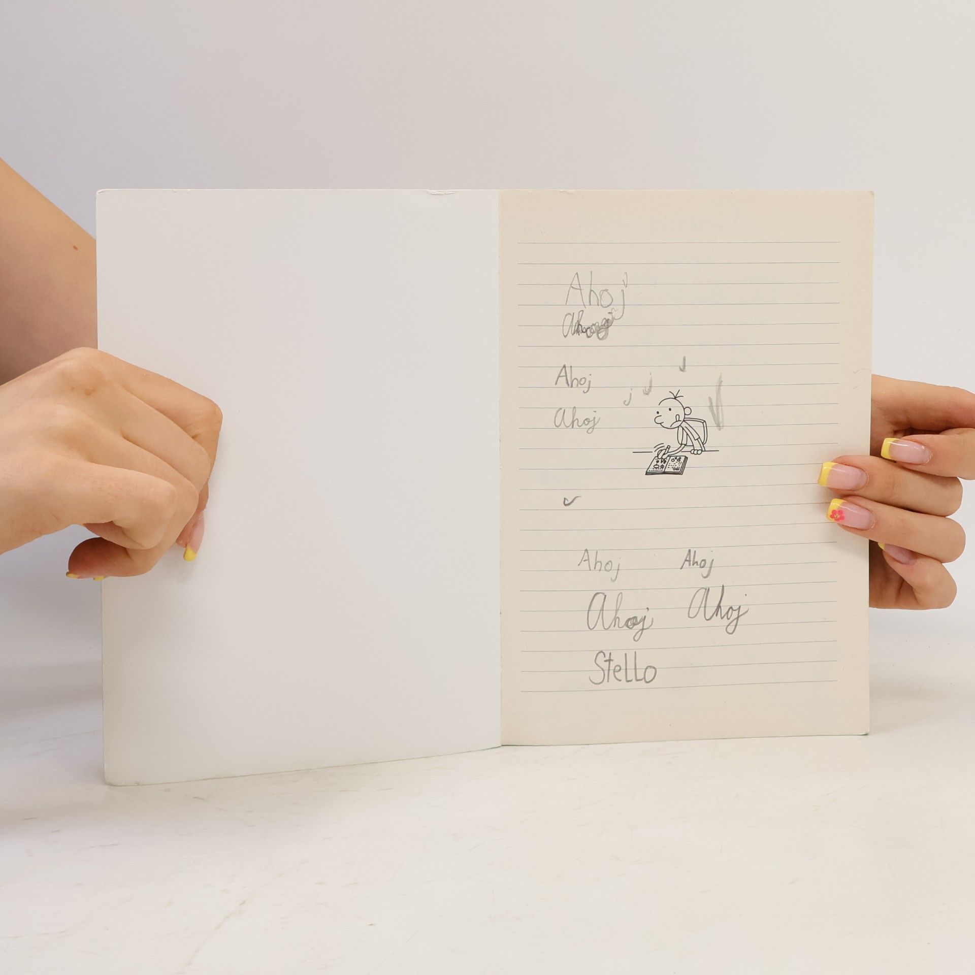 Jeff Kinney Můj nový! vlastní deník malého poseroutky