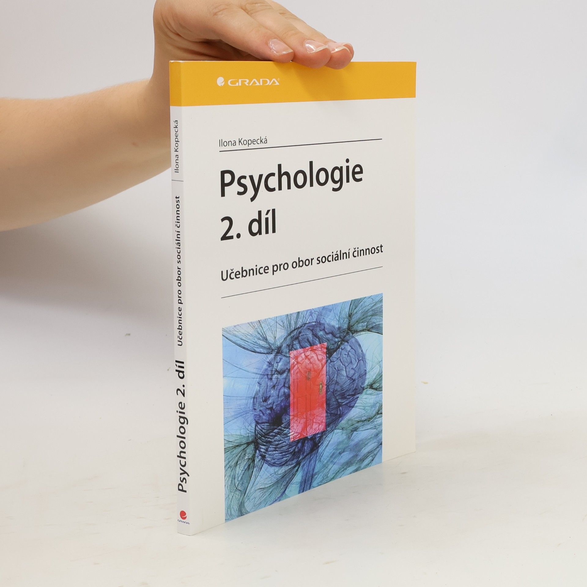 Ilona Kopecká Psychologie : učebnice pro obor sociální činnost. 2. díl