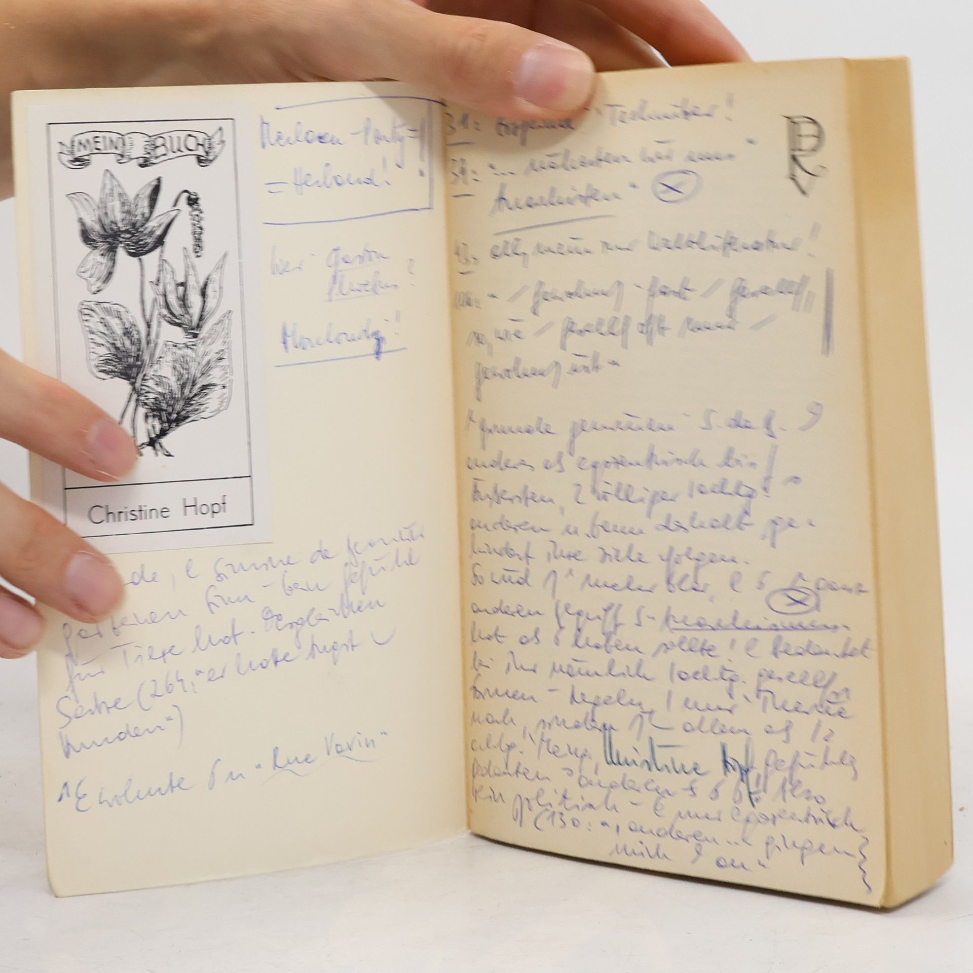 Simone de Beauvoir In den besten Jahren