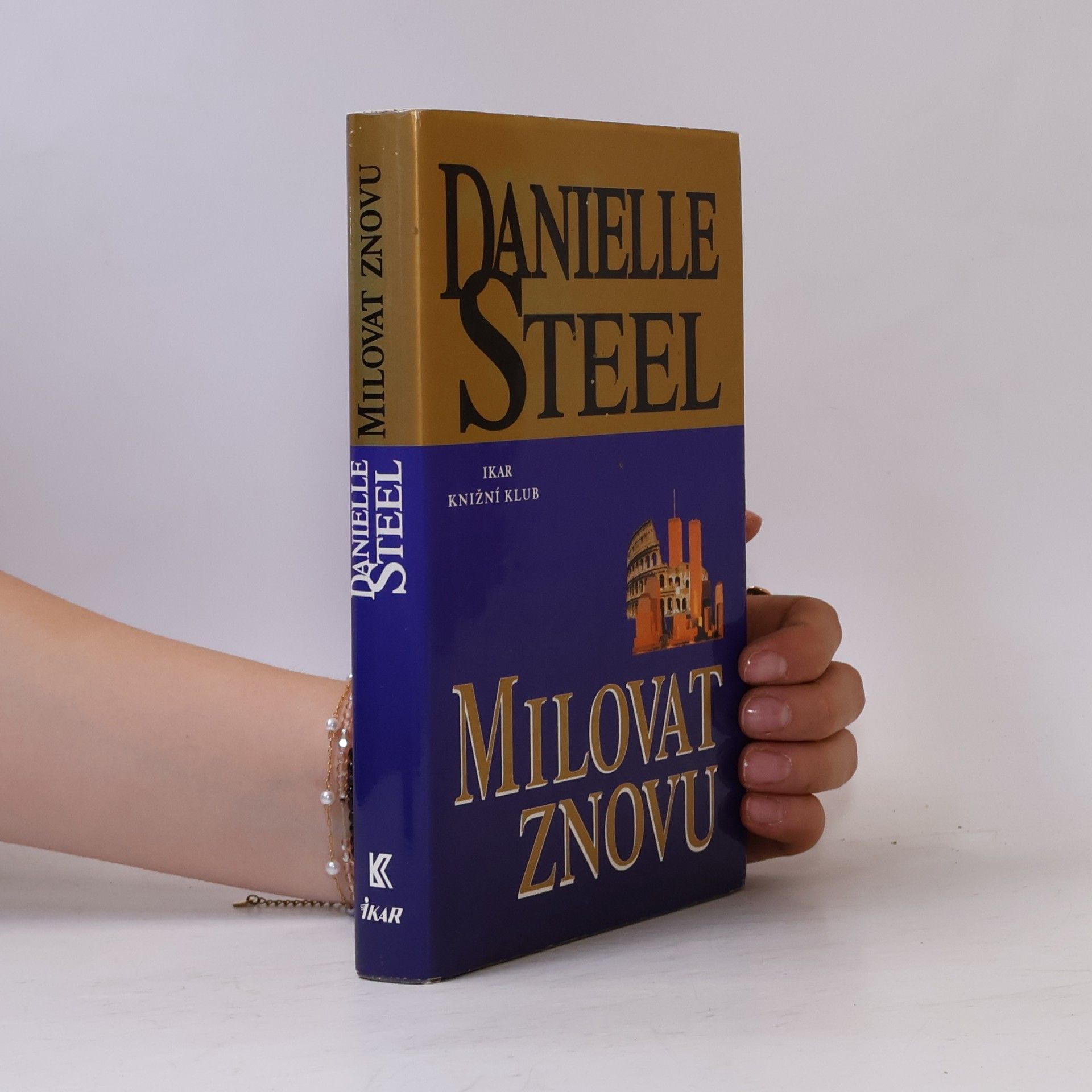 Danielle Steel Milovat znovu
