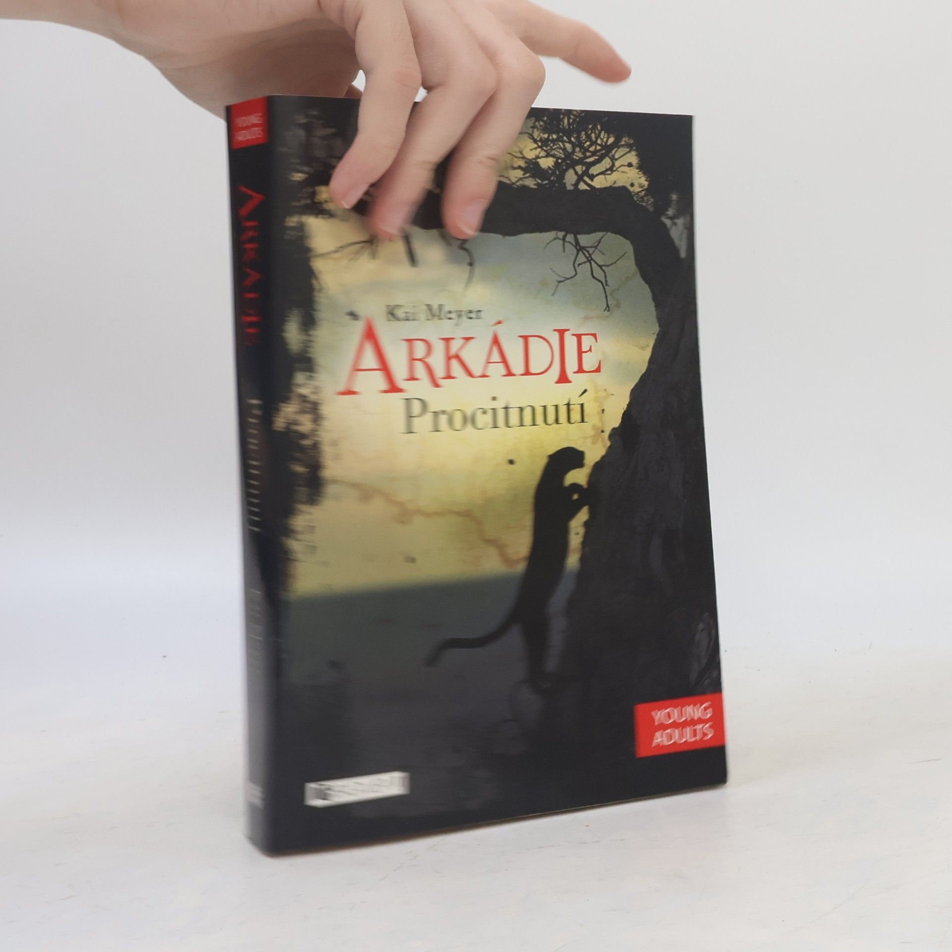 Kai Meyer Arkádie. Procitnutí