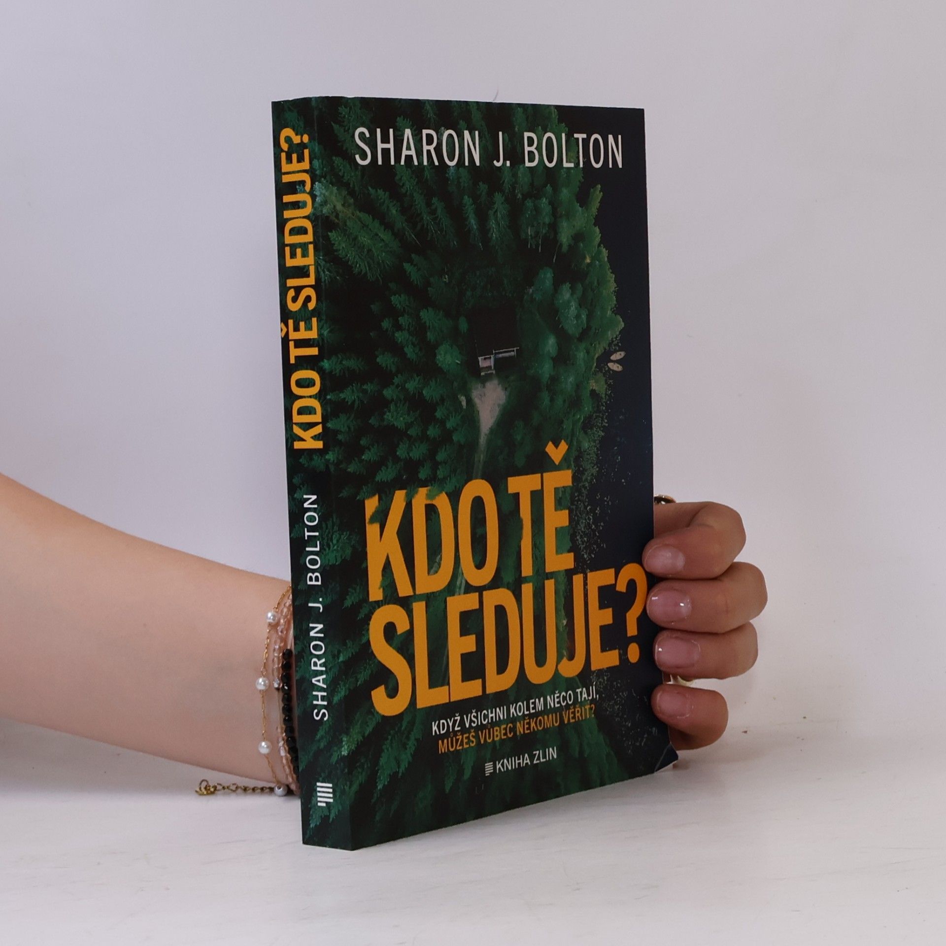 S. J. Bolton Kdo tě sleduje?
