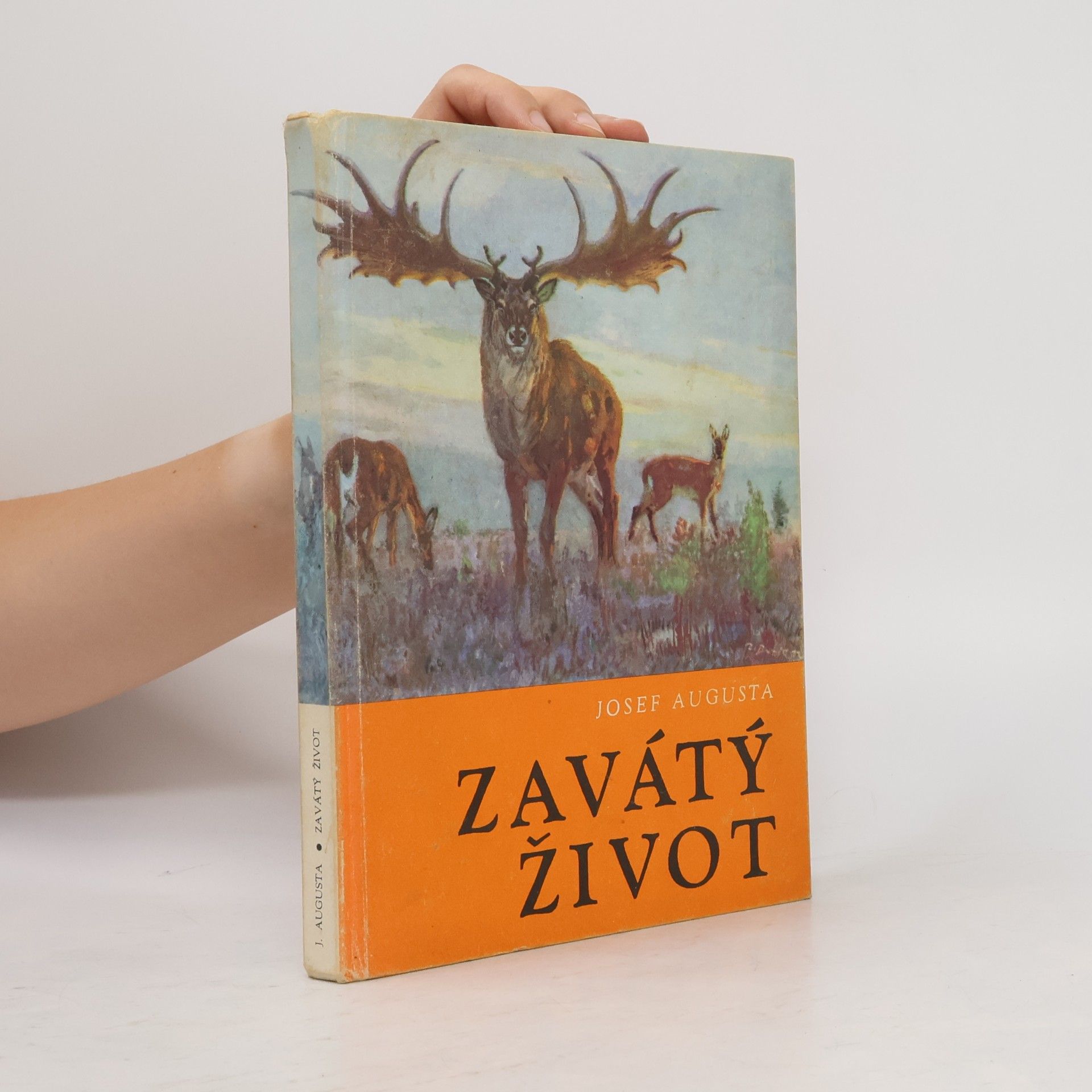 Josef Augusta Zavátý život