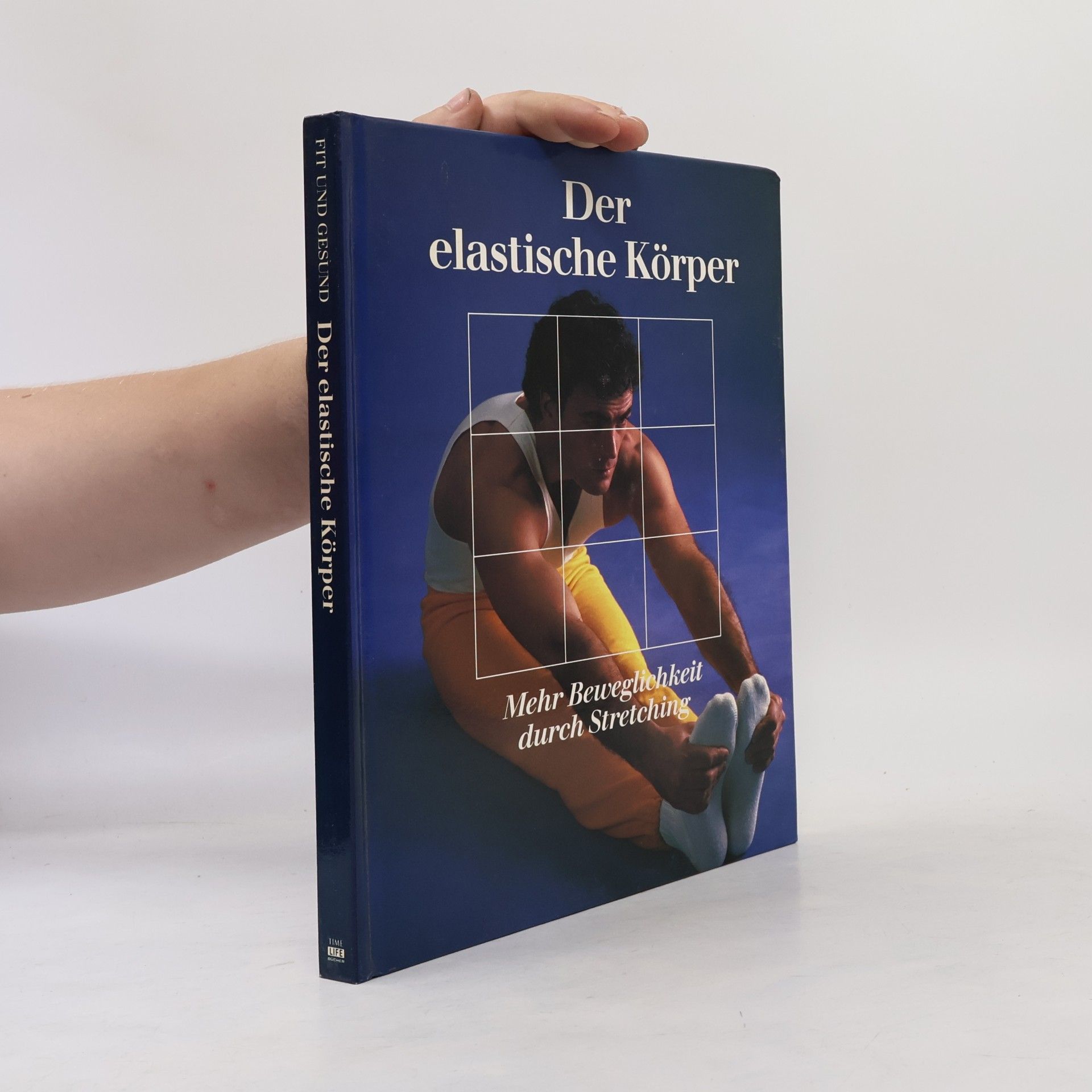 Der elastische Körper