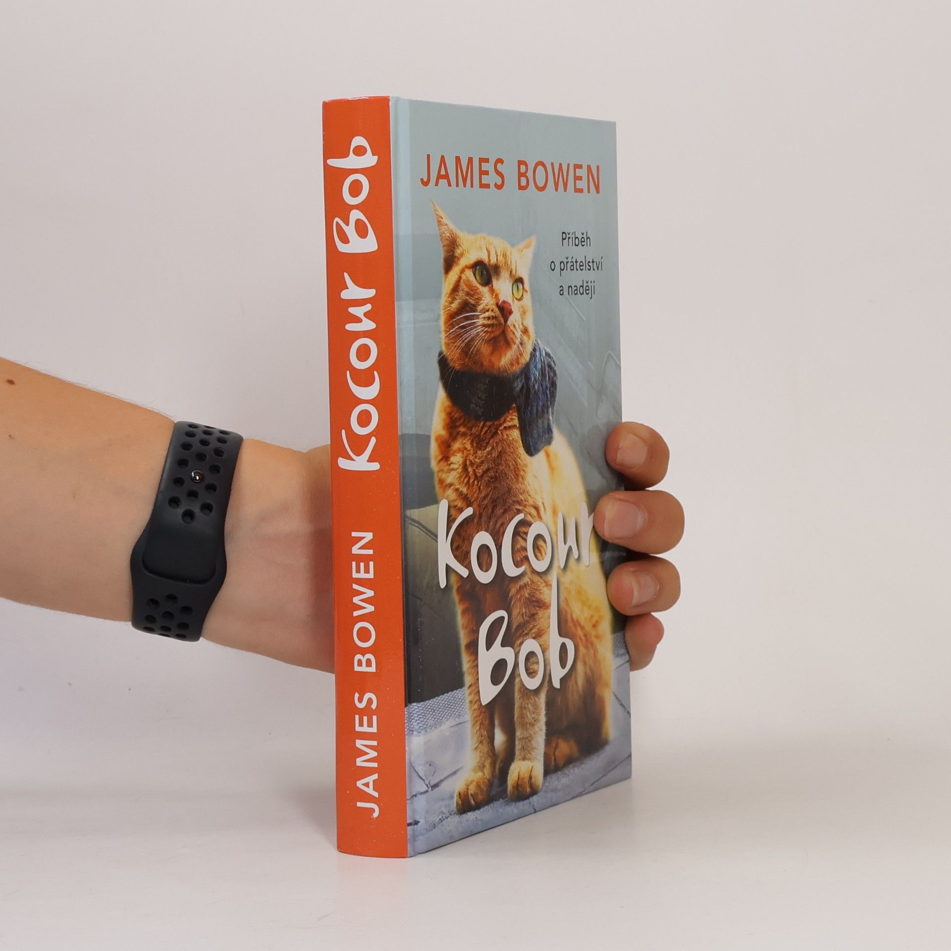 James Bowen Kocour Bob