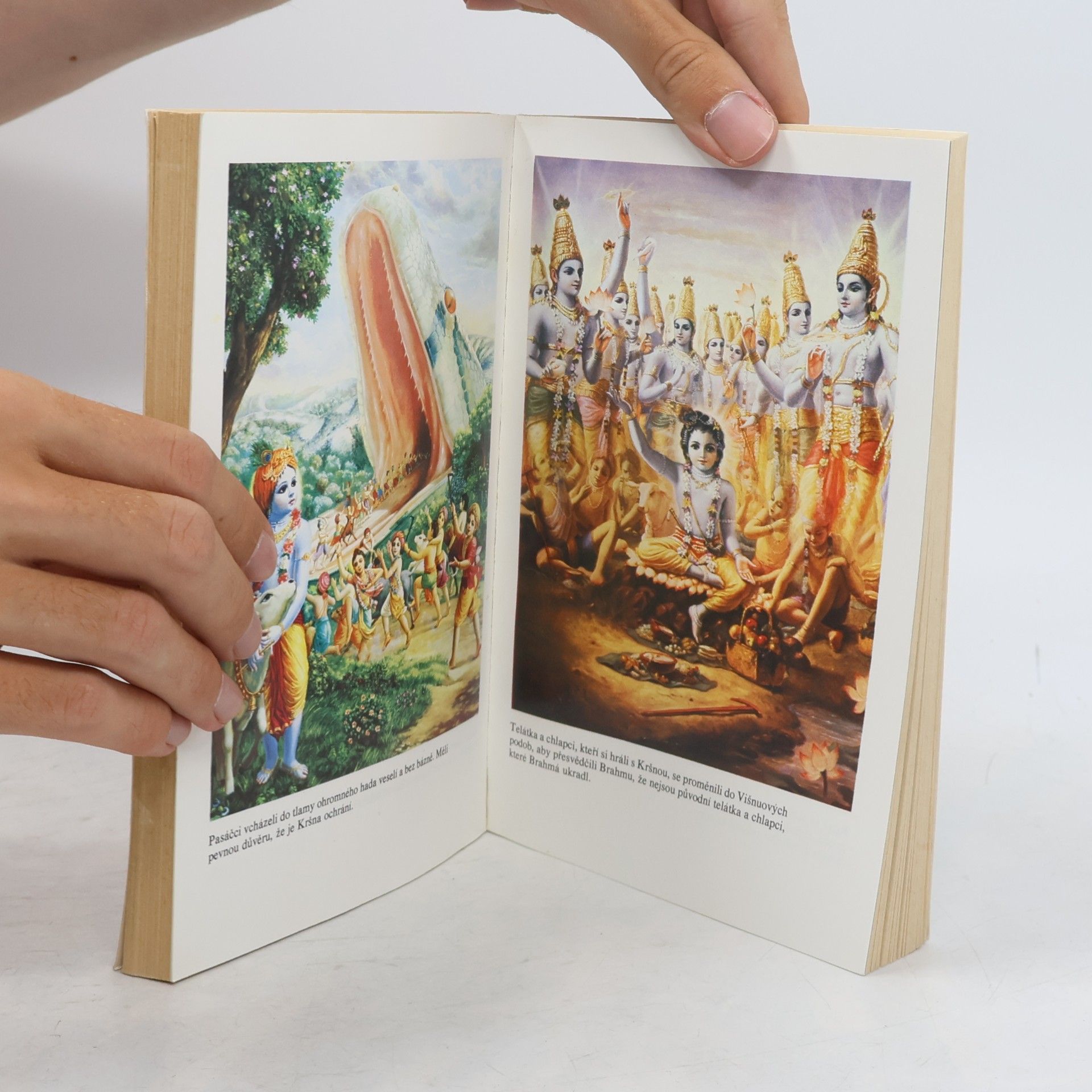 A.C. Bhaktivedanta Swami Prabhupada Kršna. Část první