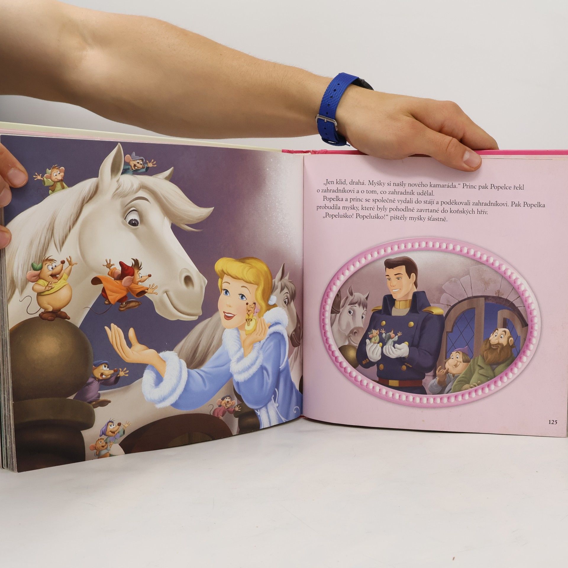 Kolektiv autorů Pohádky o princeznách