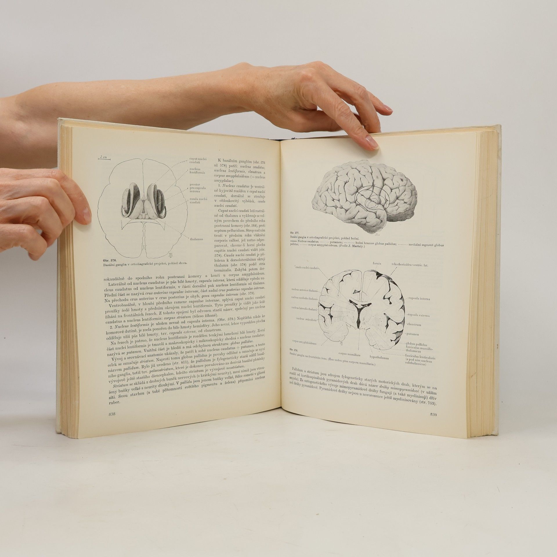 Ladislav Borovanský Soustavná anatomie člověka (II. díl)