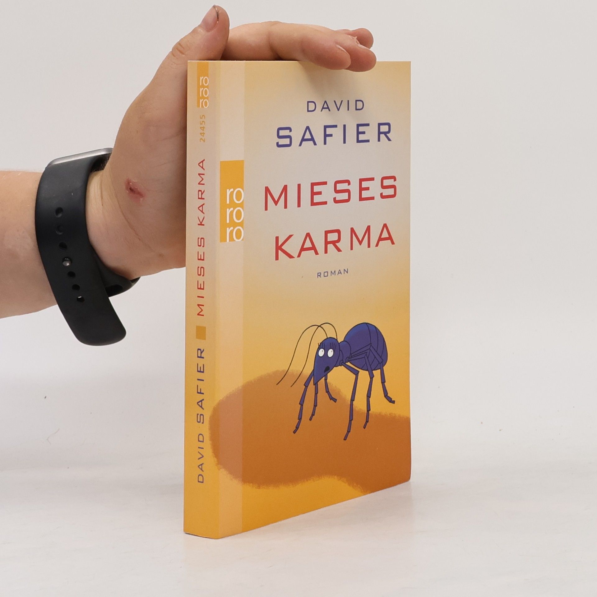 David Safier Mieses Karma