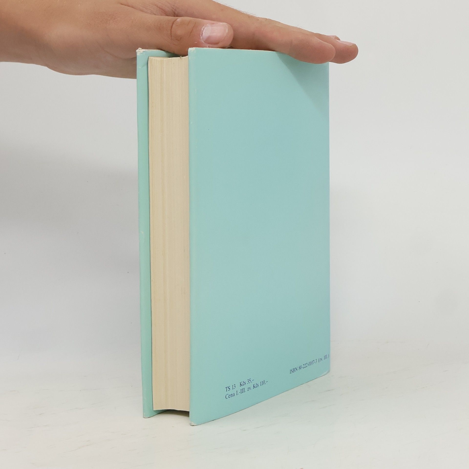 Gustave Flaubert Bouvard a Pécuchet. Listy o umení a literatúre