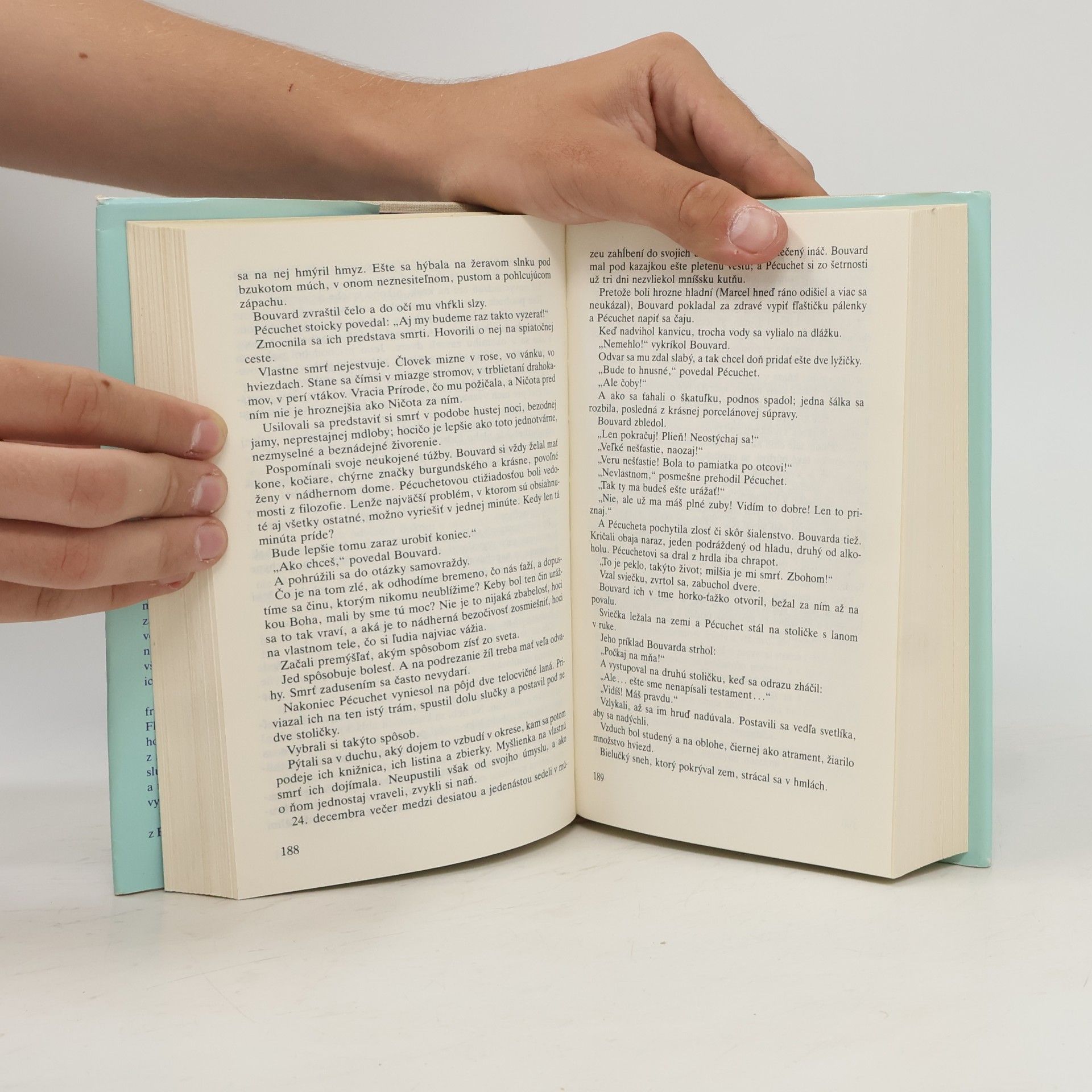 Gustave Flaubert Bouvard a Pécuchet. Listy o umení a literatúre