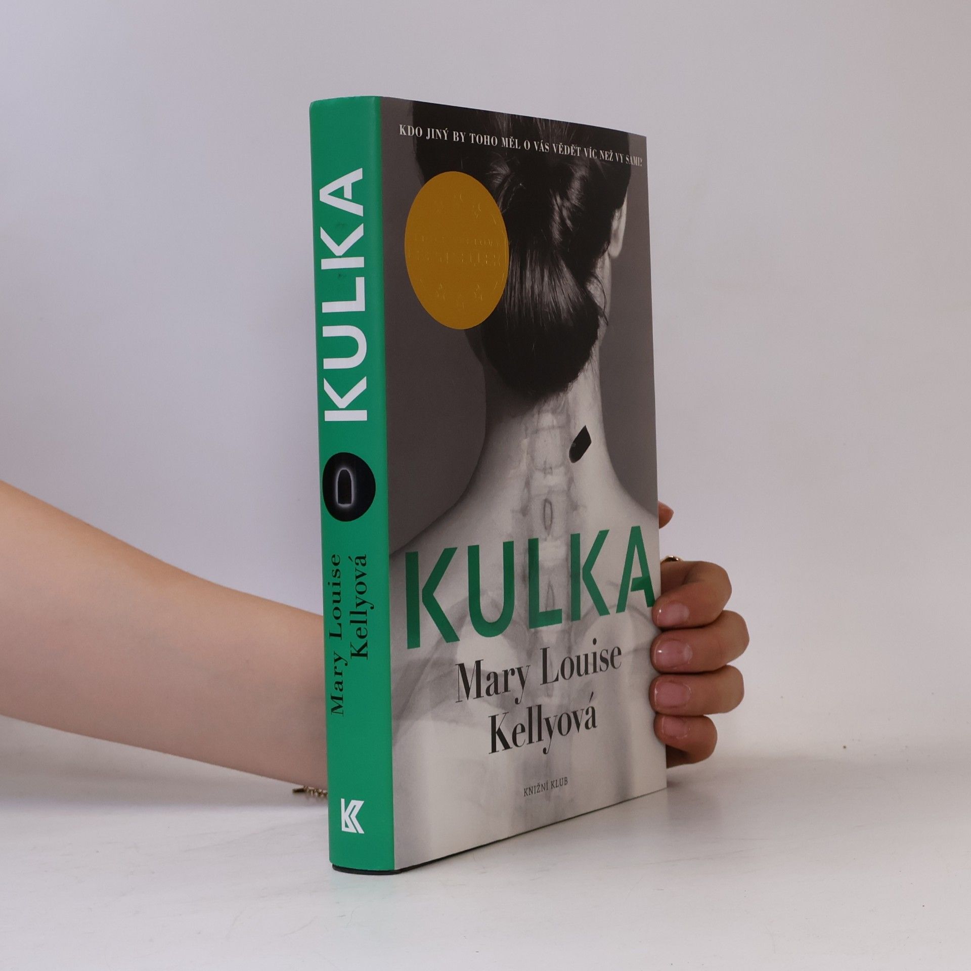 Mary Louise Kelly Kulka