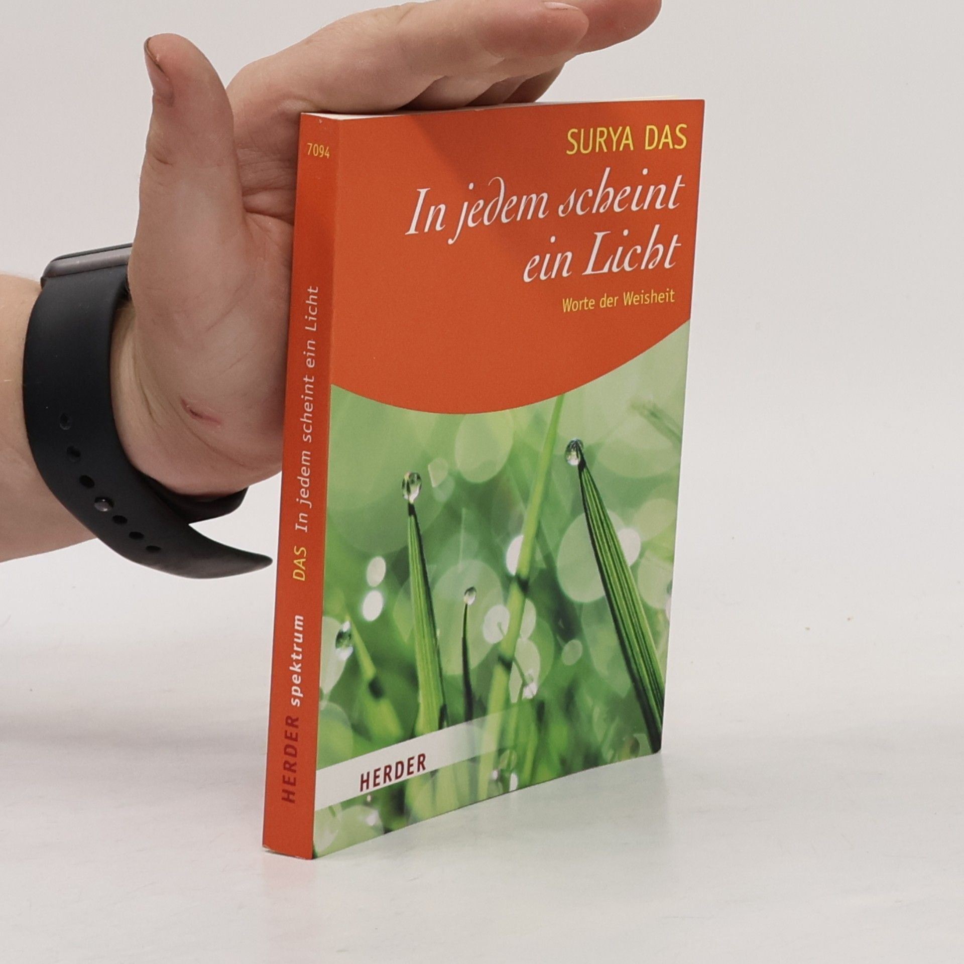 Surya Das Herder Spektrum: In jedem scheint ein Licht
