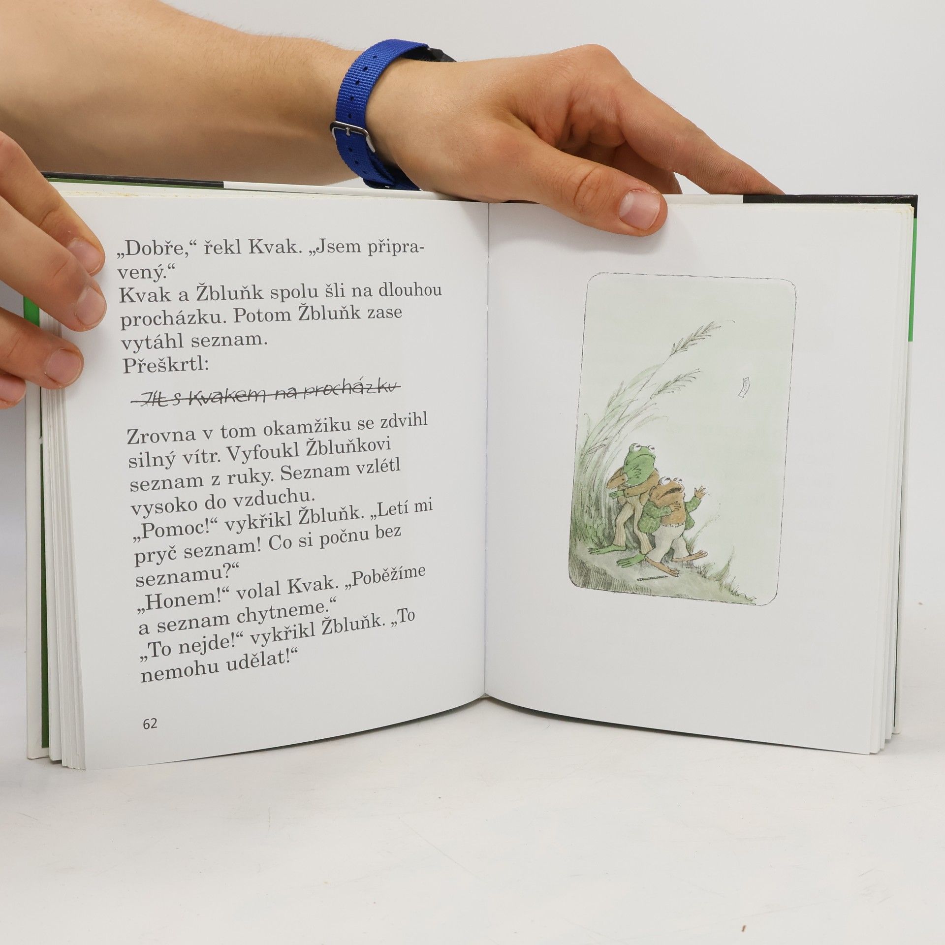Arnold Lobel Kvak a Žbluňk jsou kamarádi