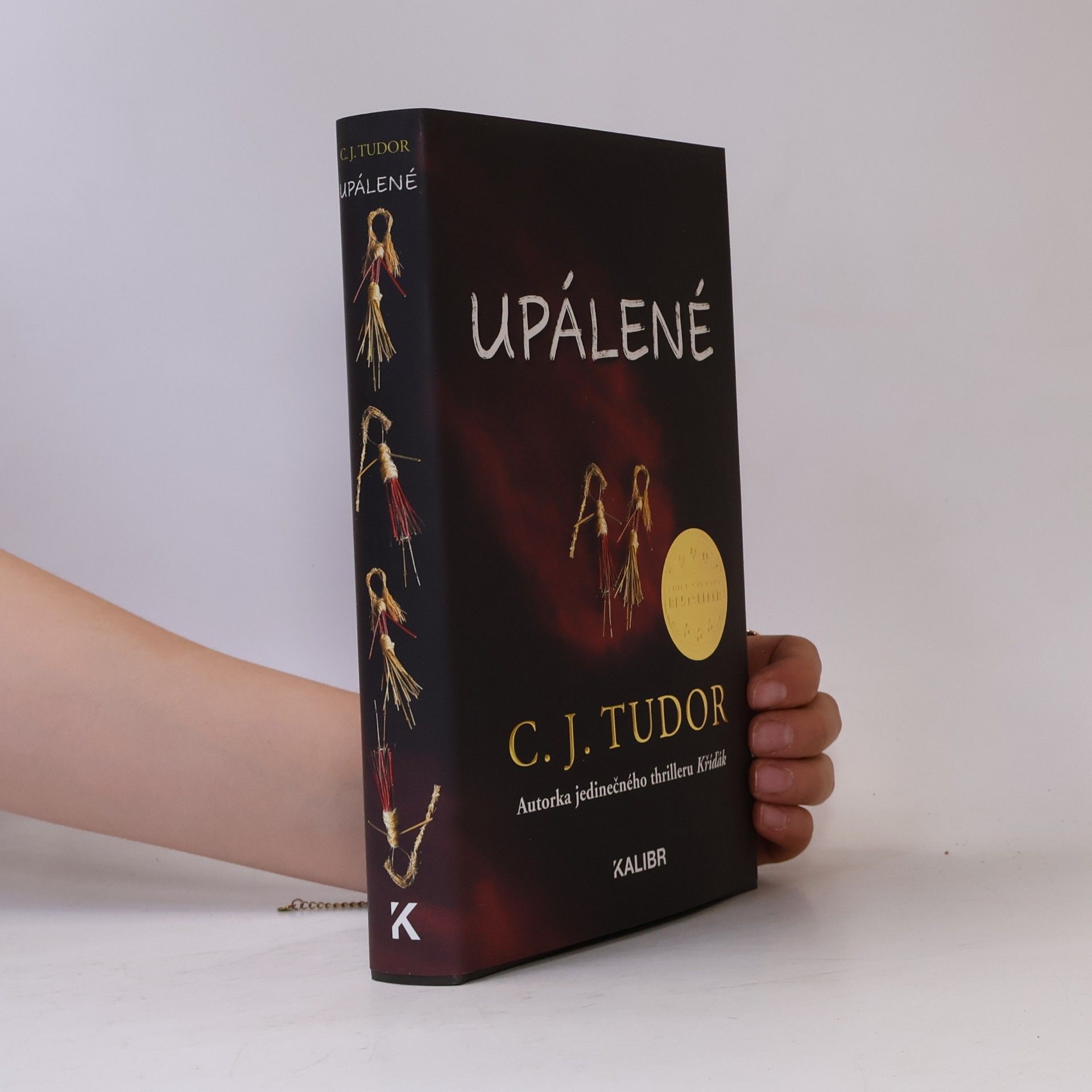 C.J. Tudor Upálené