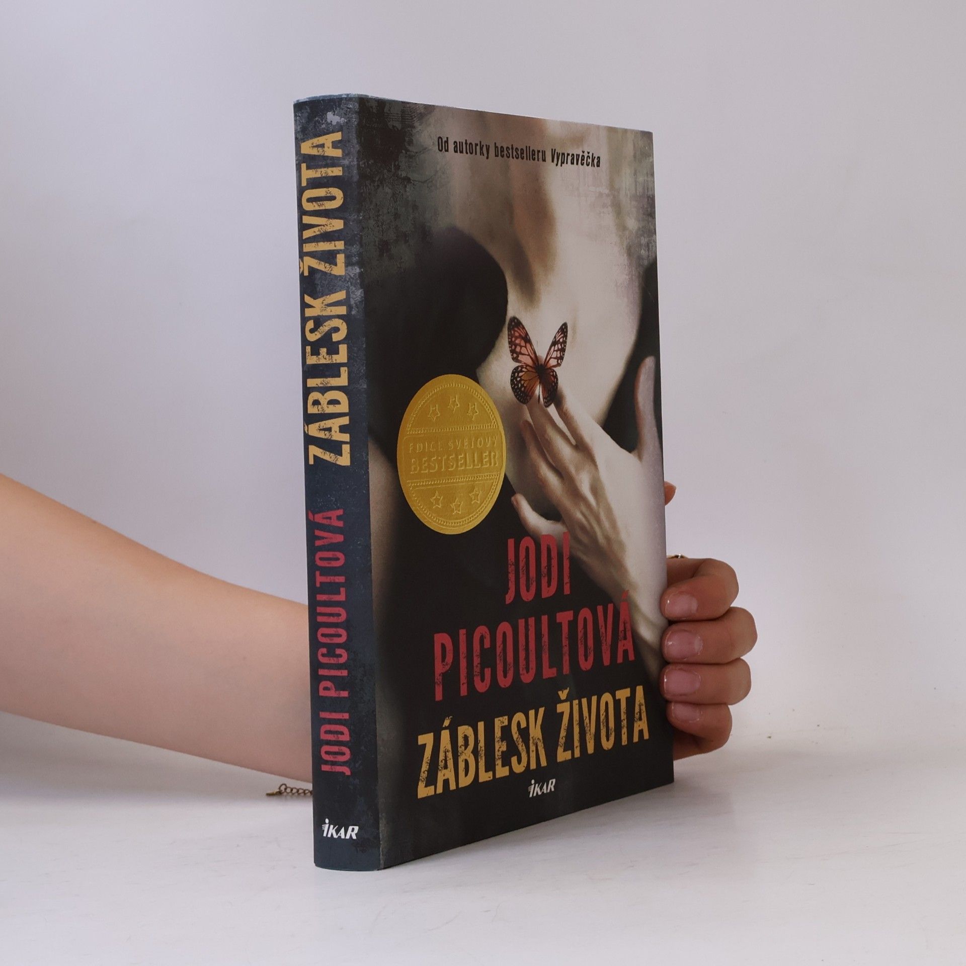 Jodi Picoult Záblesk života