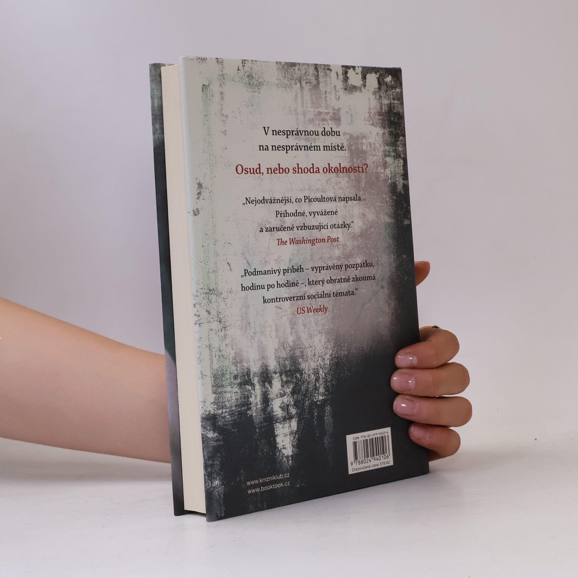 Jodi Picoult Záblesk života