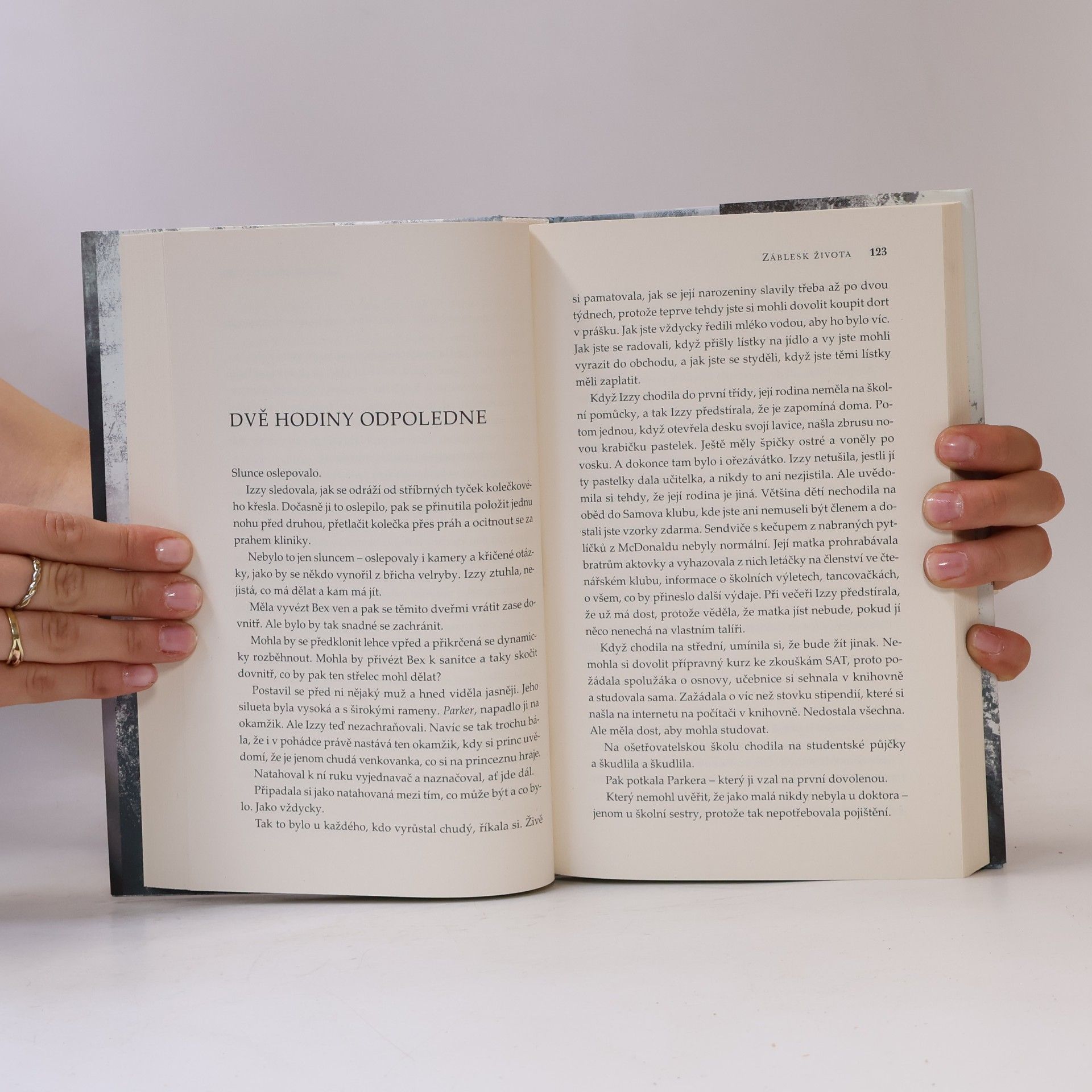Jodi Picoult Záblesk života