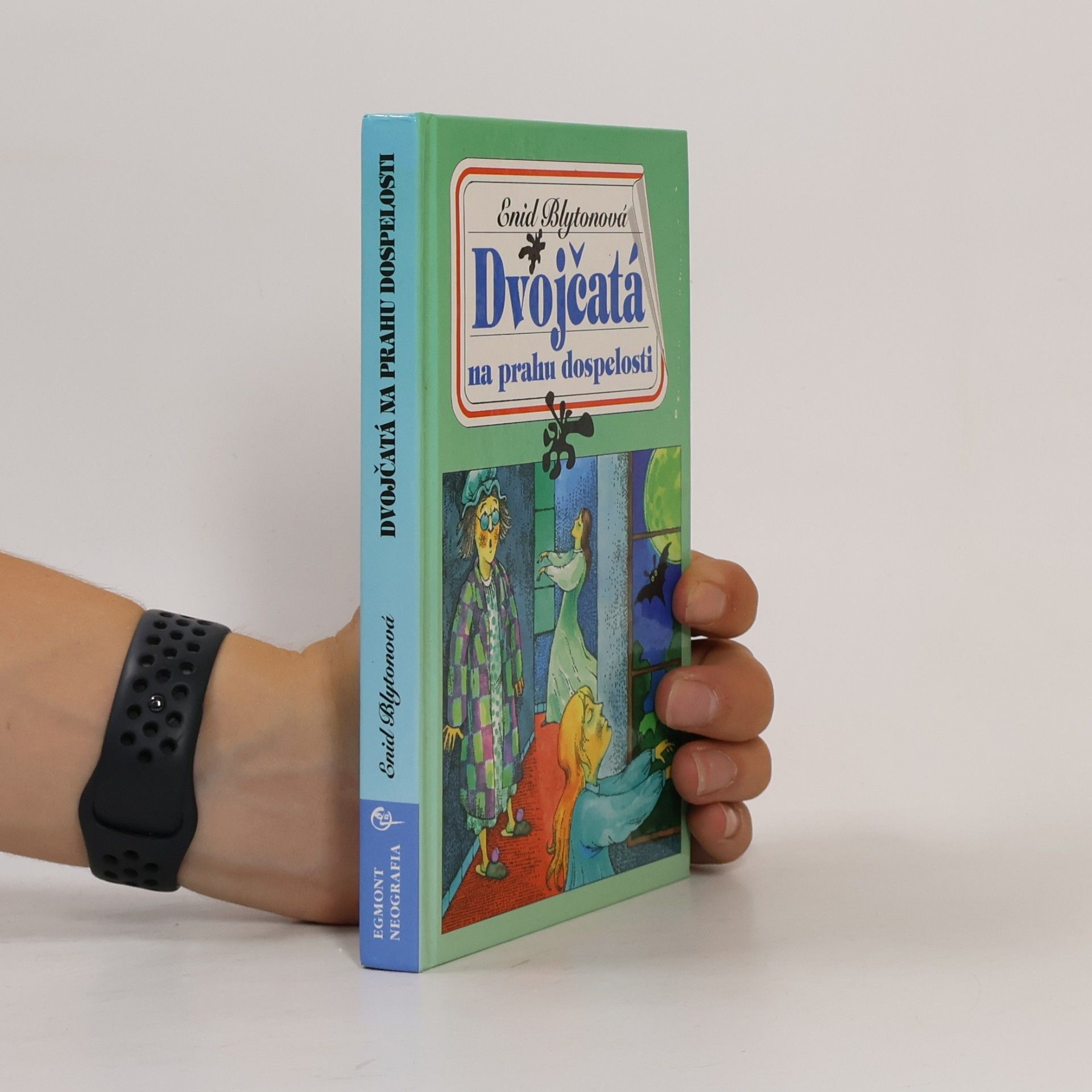 Enid Blyton Dvojčatá na prahu dospelosti