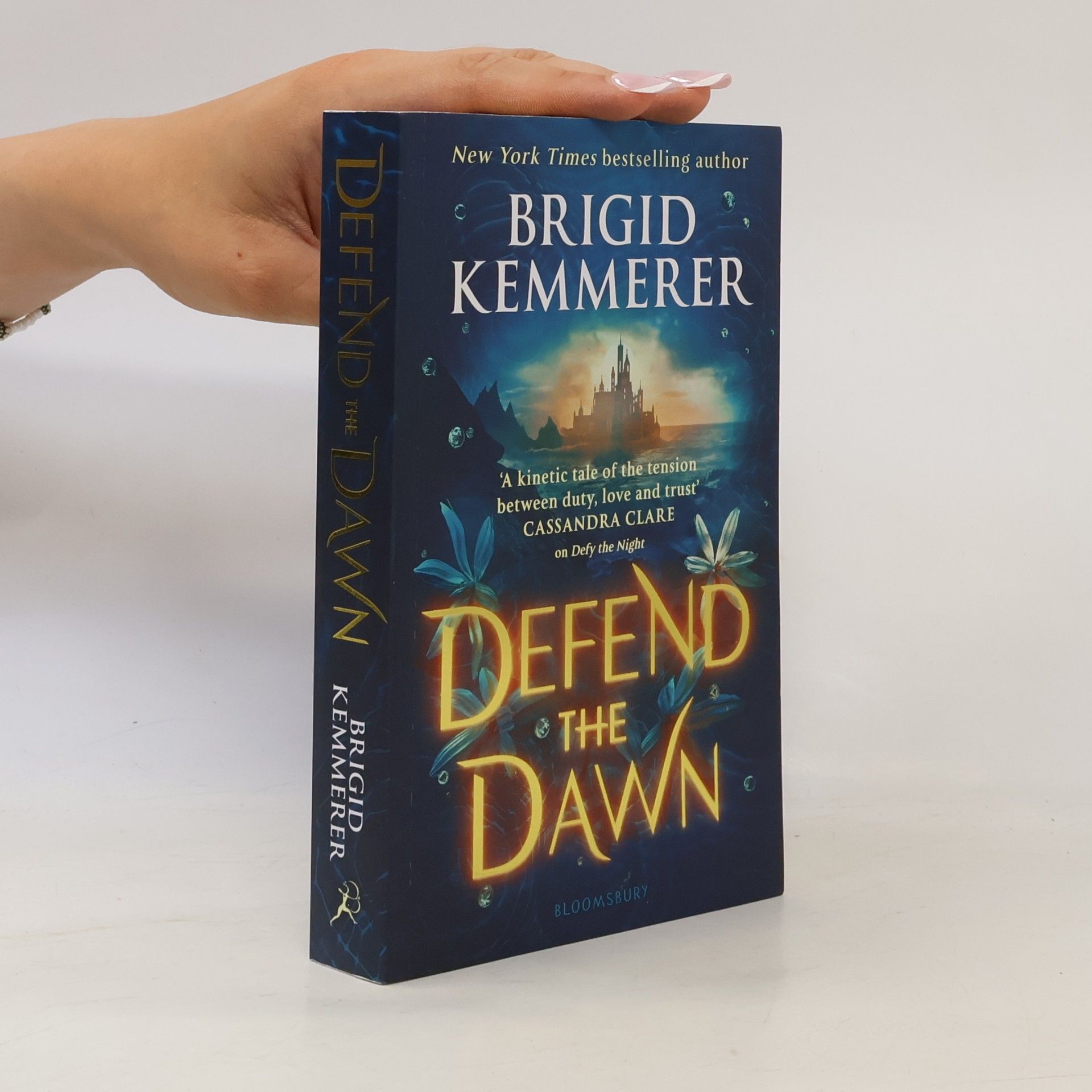 Brigid Kemmerer Defend the dawn