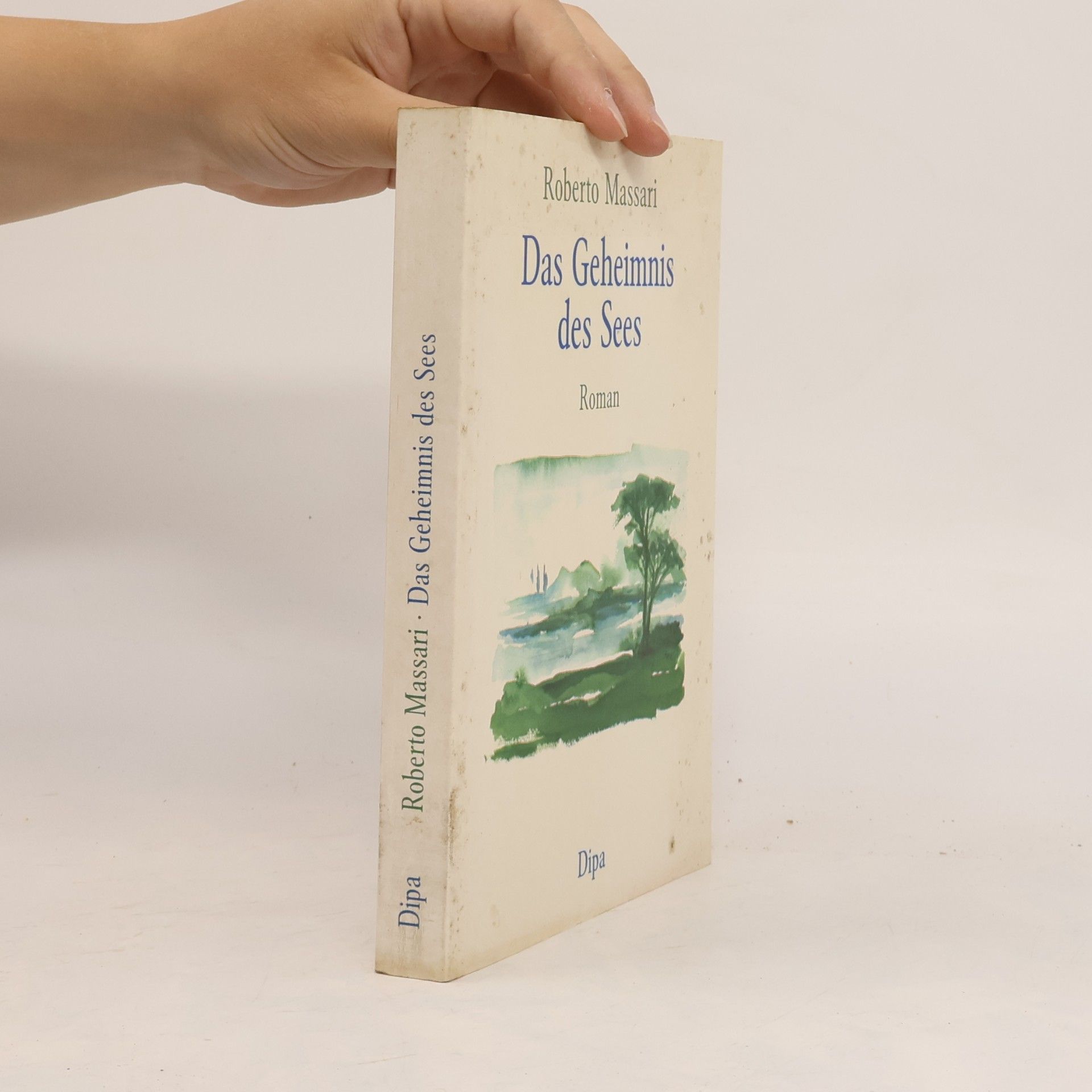 Das Geheimnis des Sees