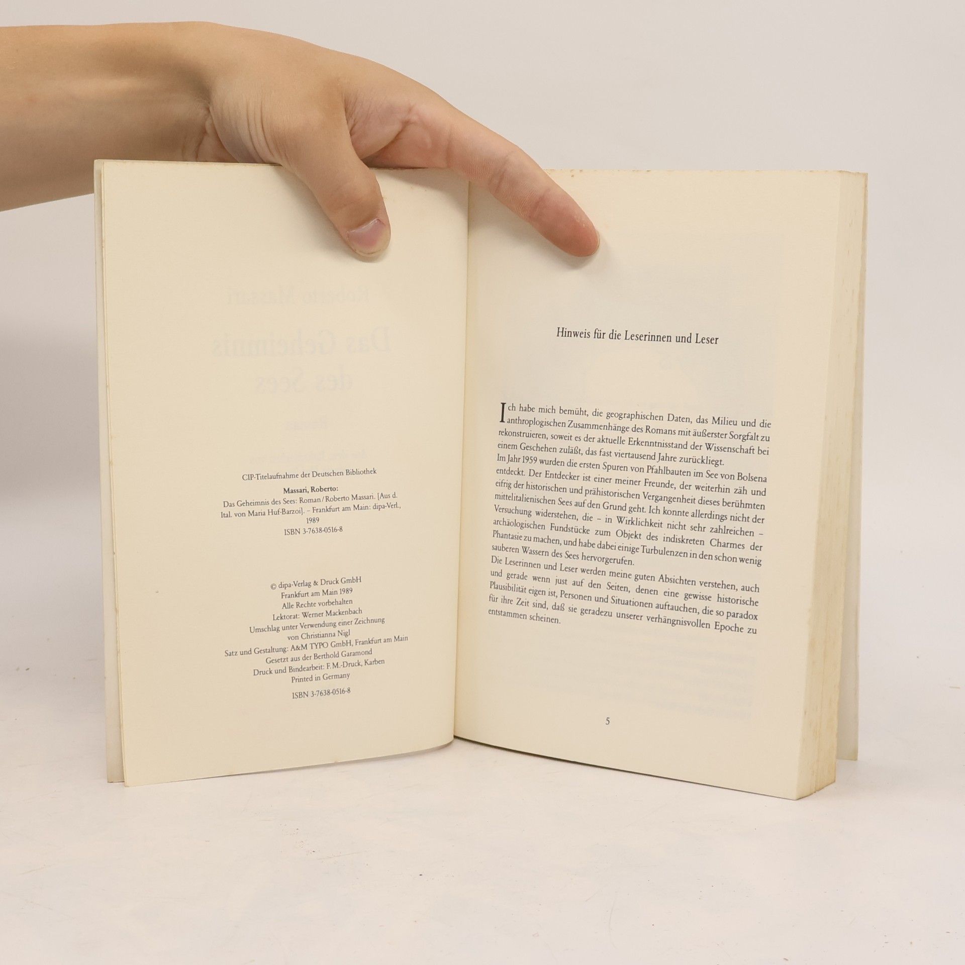 Roberto Massari Das Geheimnis des Sees